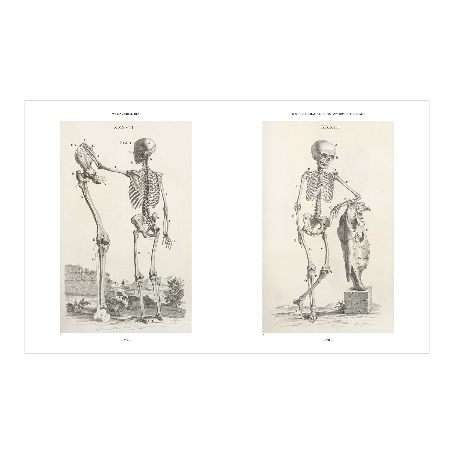 The Book of the Human Body (German, Spanish, French, English)