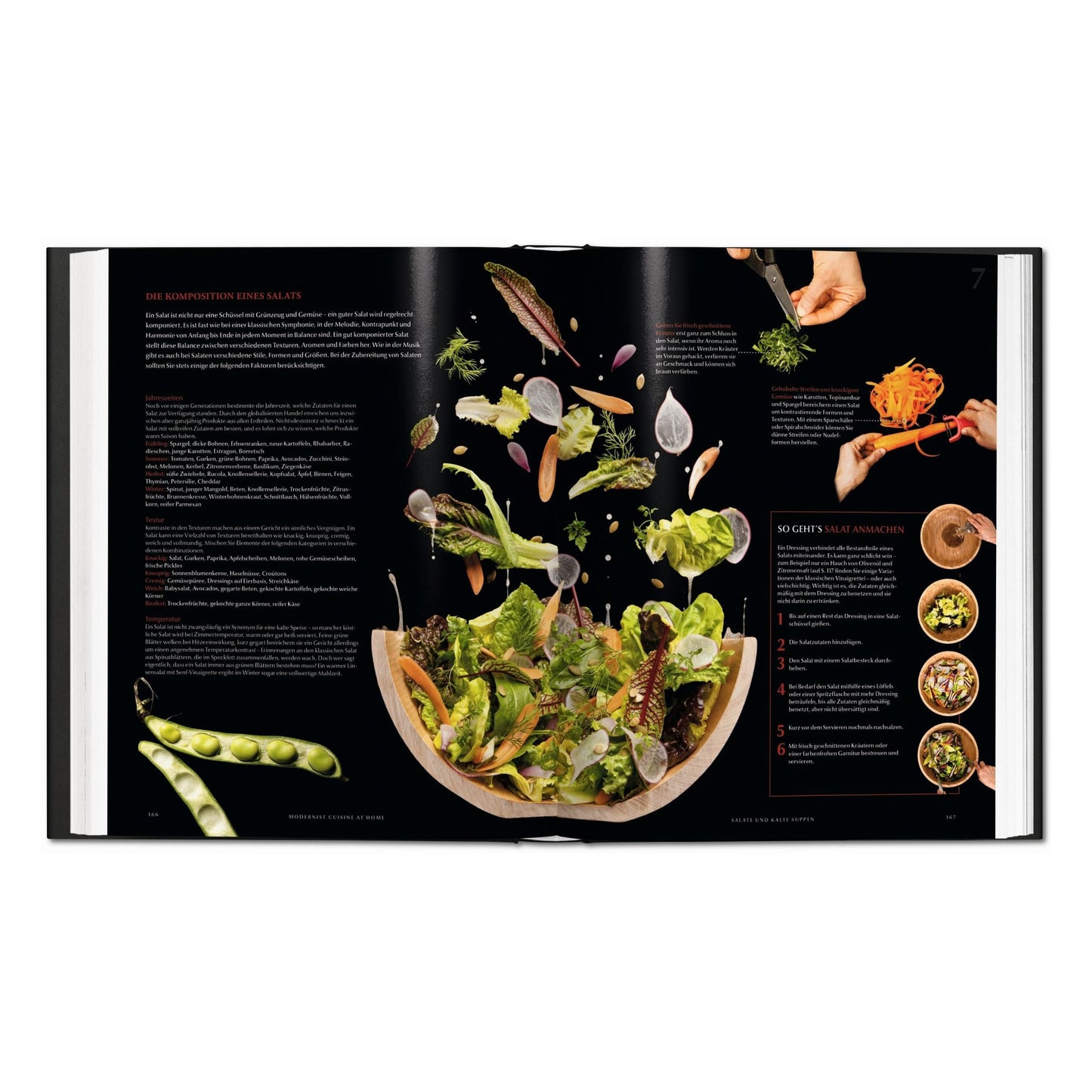 Modernist Cuisine at Home (Spanish)