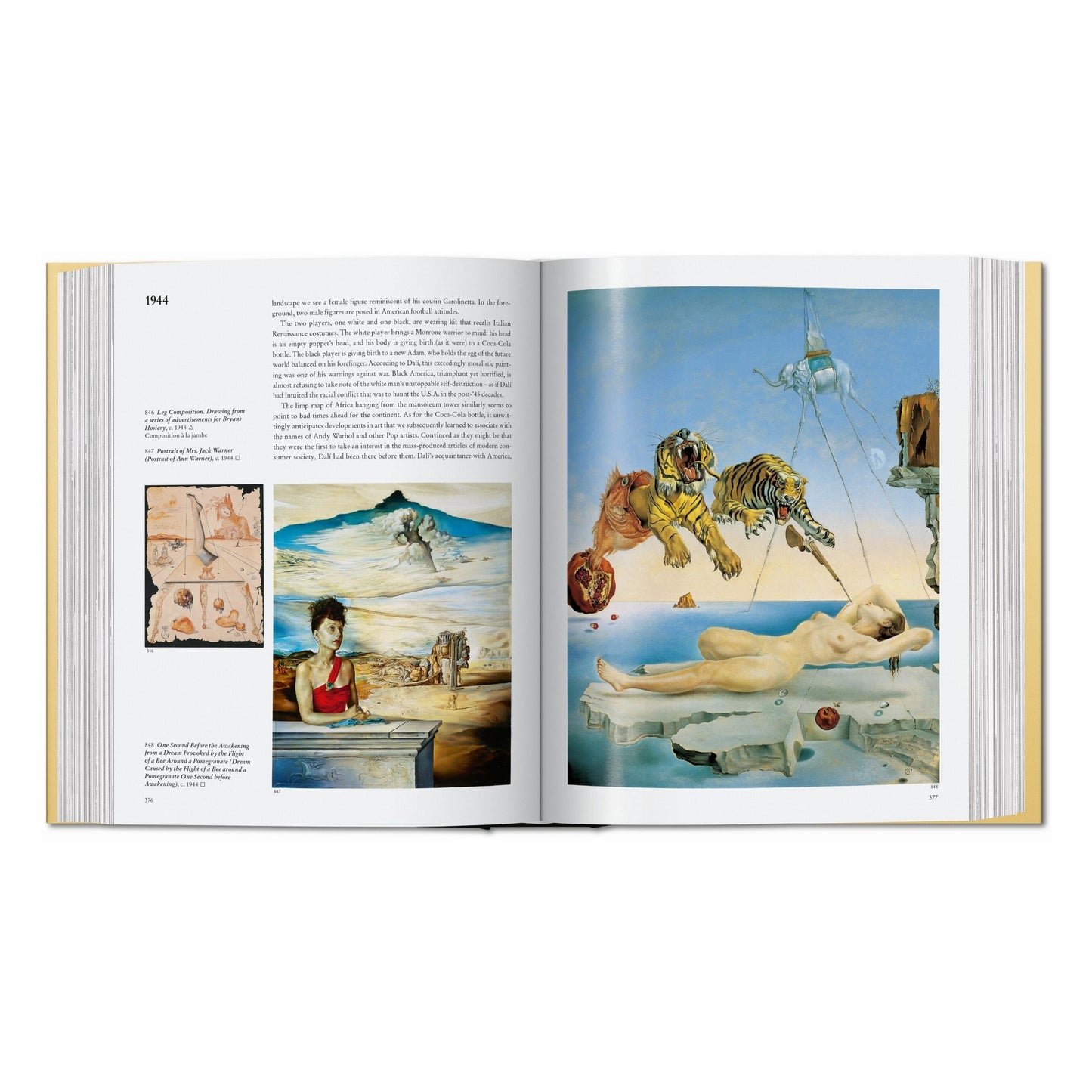 Dalí. L'œuvre peint (French)