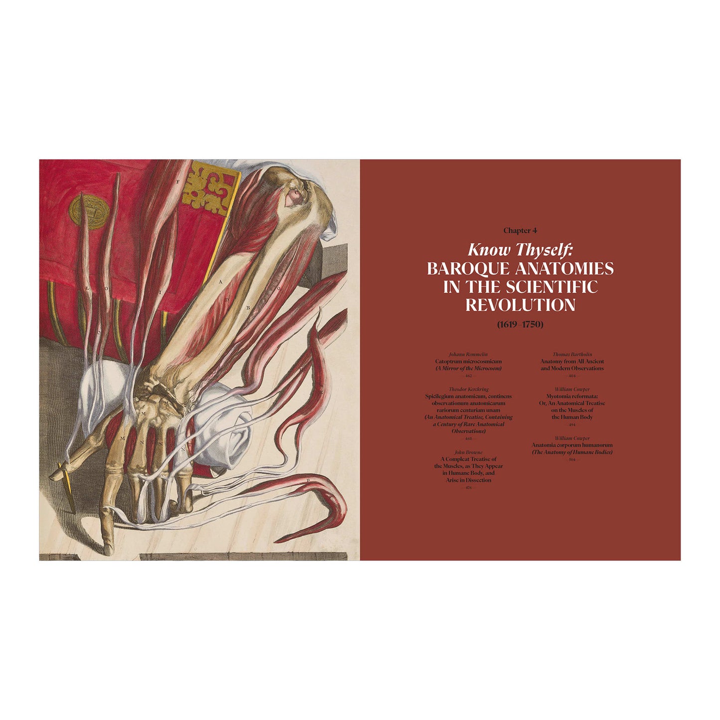 The Book of the Human Body (German, Spanish, French, English)