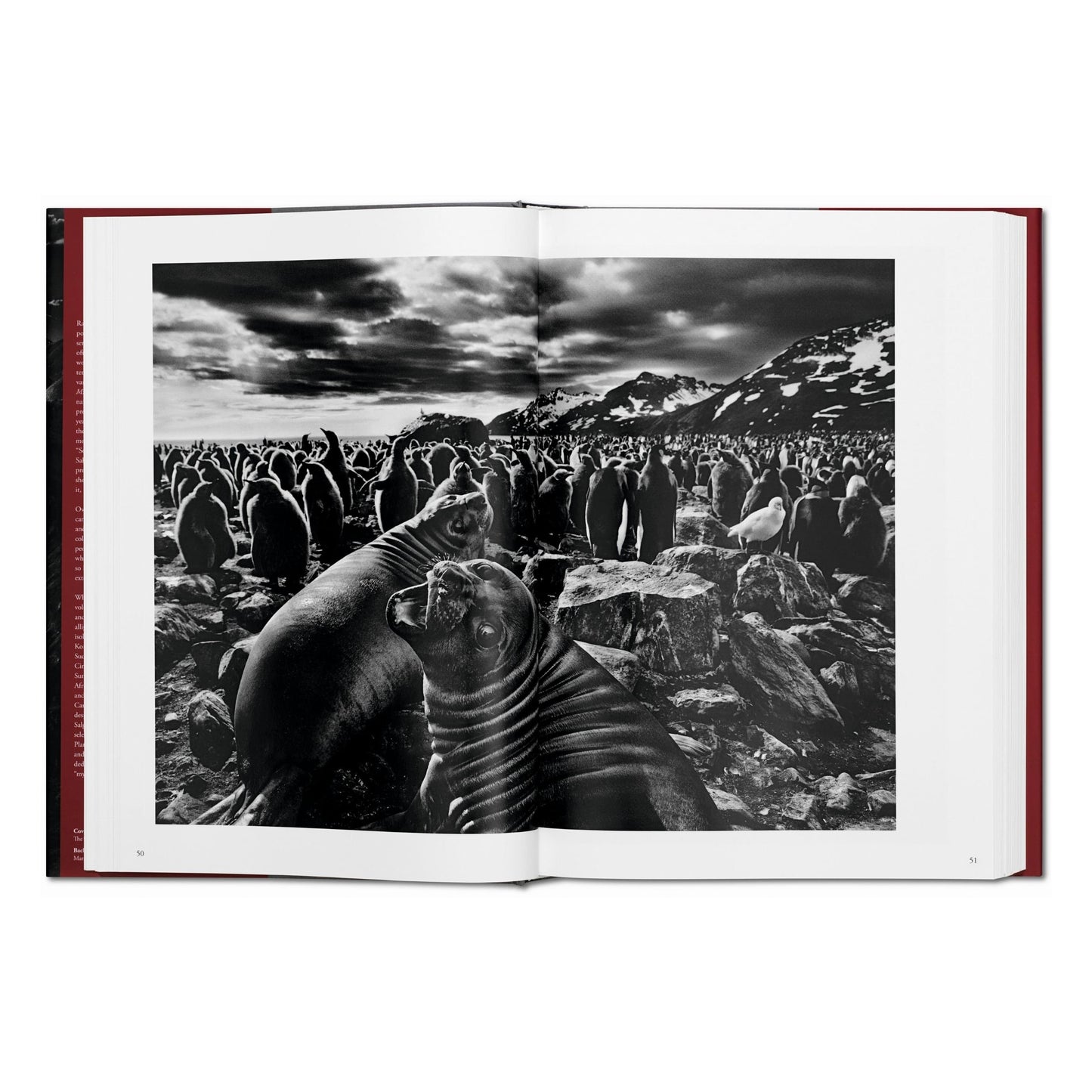 Sebastião Salgado. Genesis (English)