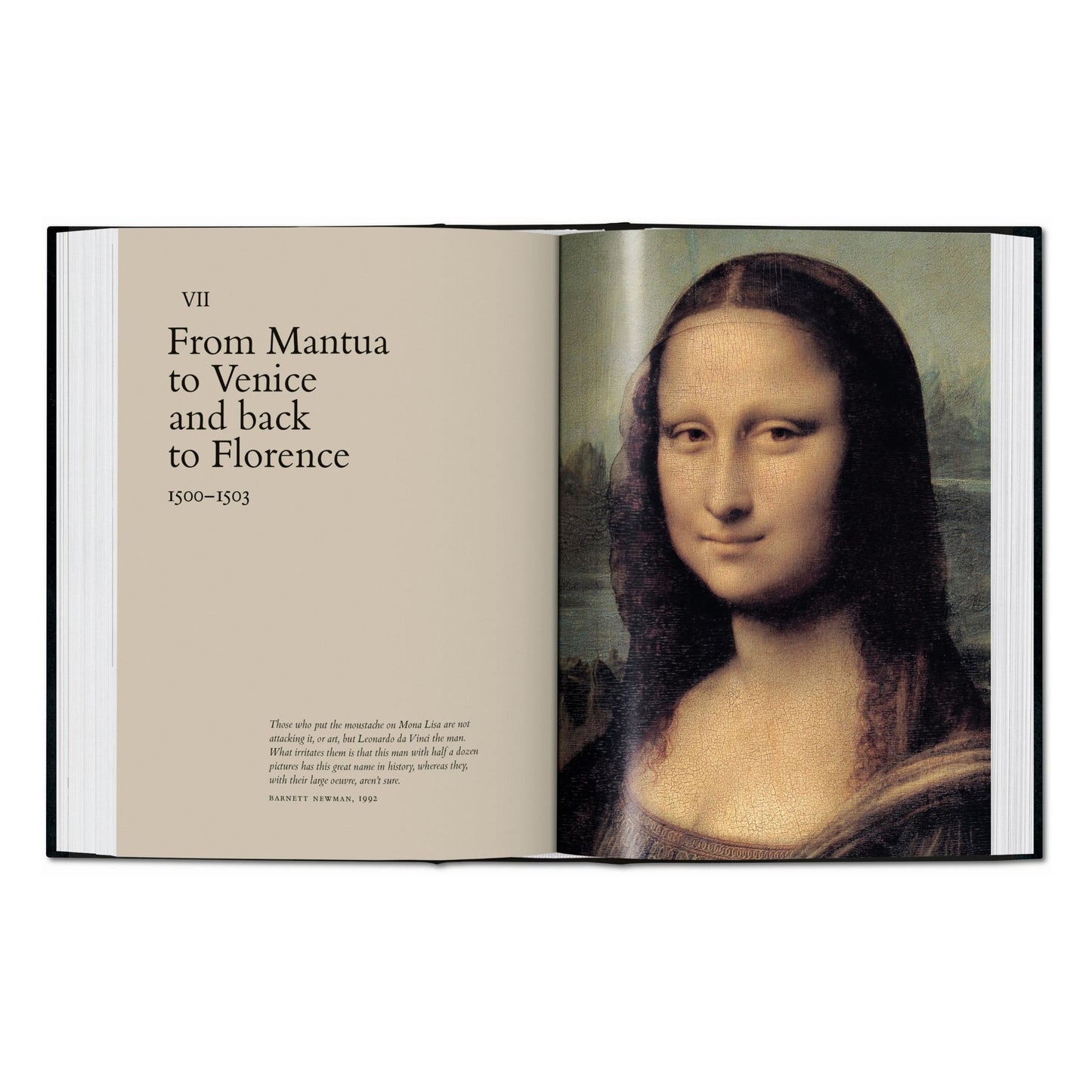 Léonard de Vinci. Tout l'œuvre peint (French)