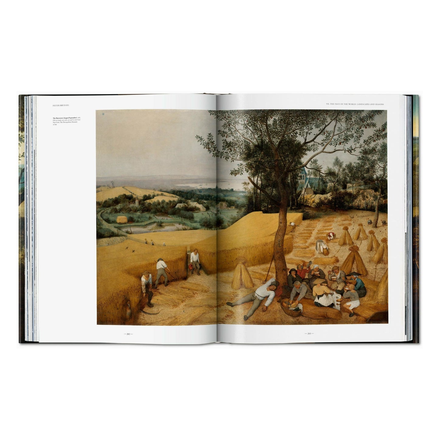 Bruegel. L'œuvre complet (French)