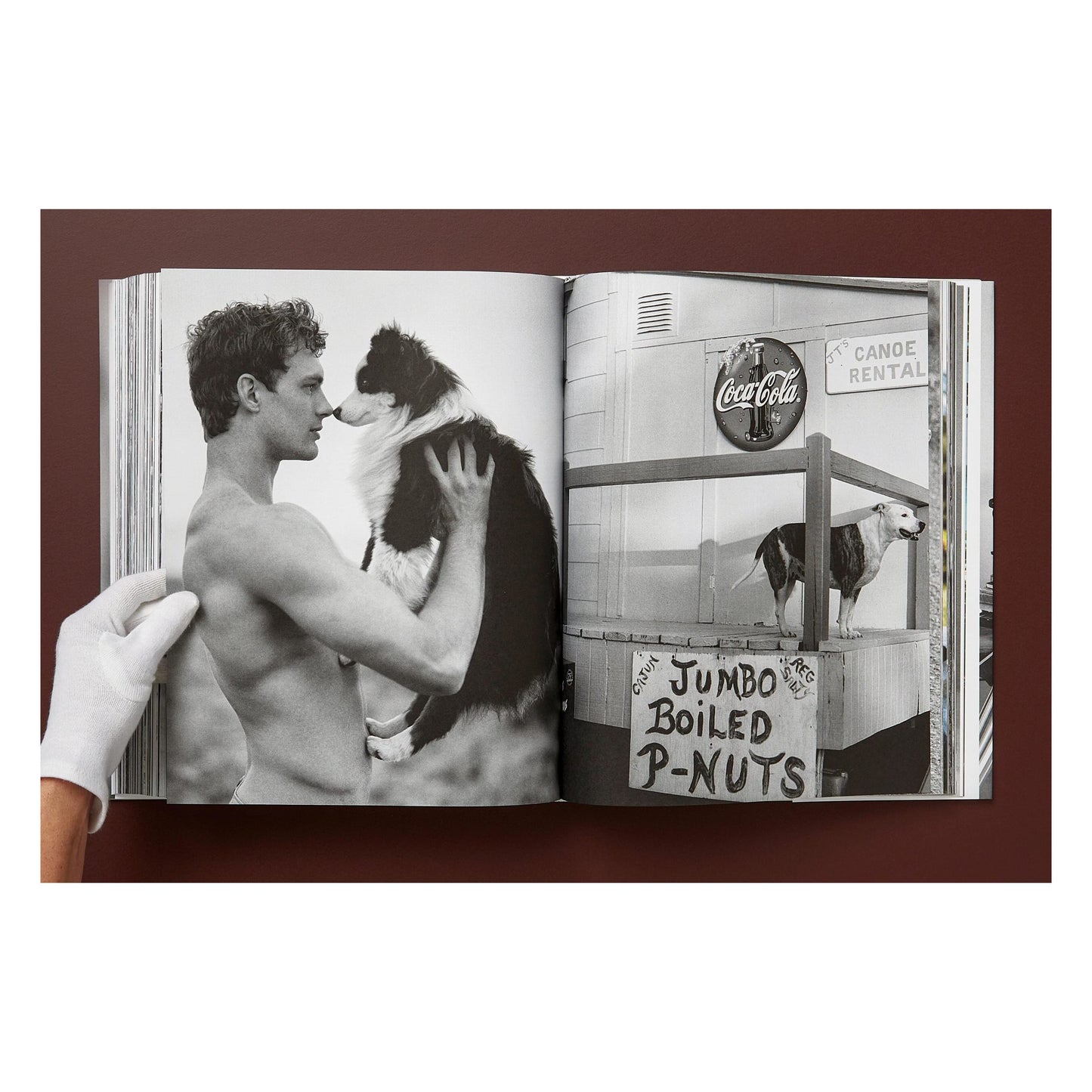 Bruce Weber. The Golden Retriever Photographic Society. Art Edition No. 1–100 ‘Little Bear Ranch, Montana, 1996’ (German, French, English) (SA)