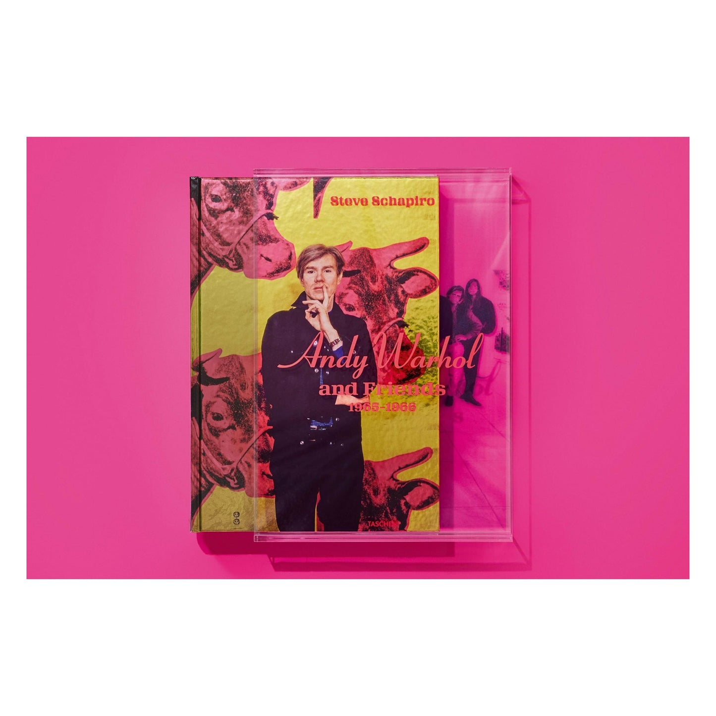 Steve Schapiro. Andy Warhol and Friends (English) (SA)