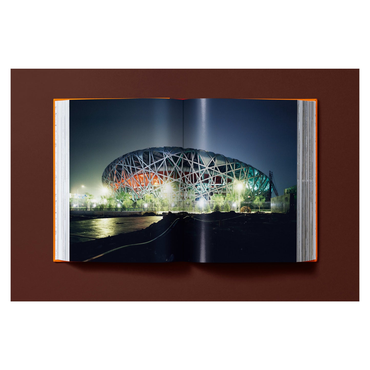 Ai Weiwei. Updated Edition. Art Edition No. 1–100 ‘Ai Weiwei in Pixels’, 2026 (German, French, English) (AP)