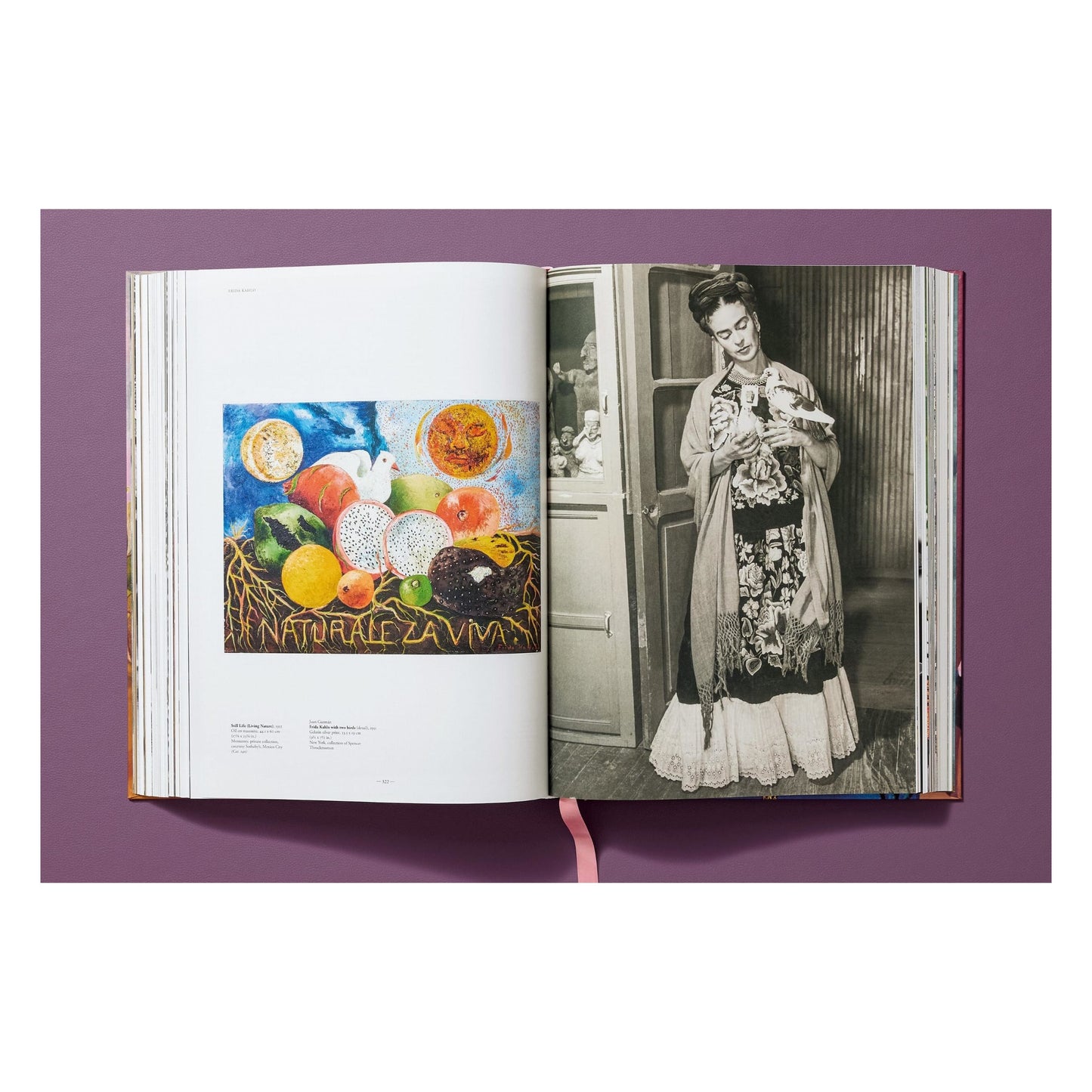 Frida Kahlo. Toute l'œuvre peinte (French)