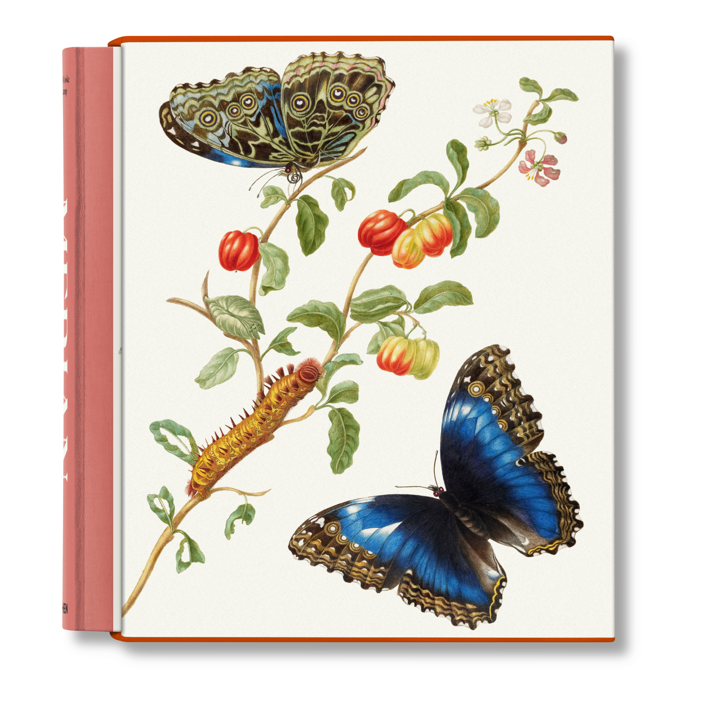 Merian (German, Spanish, French, English)