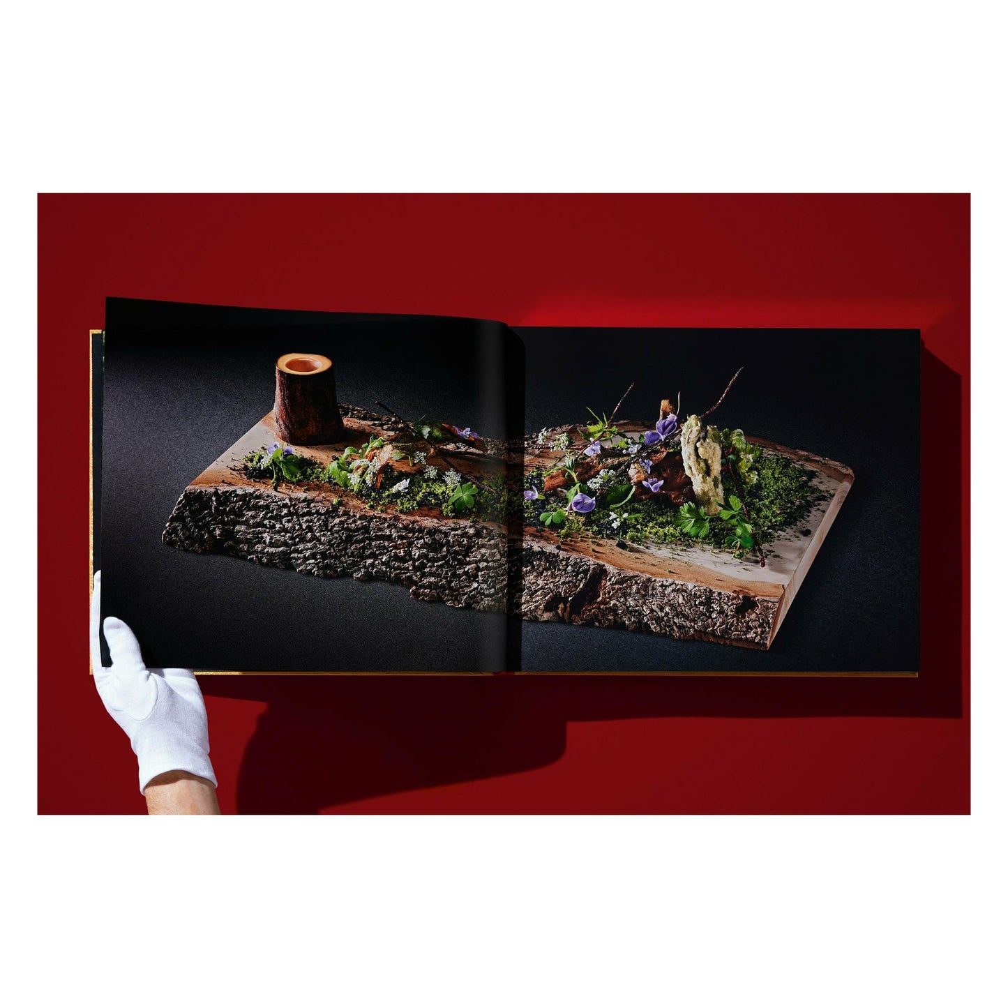 Yoshihiro Narisawa. Satoyama Cuisine (English)
