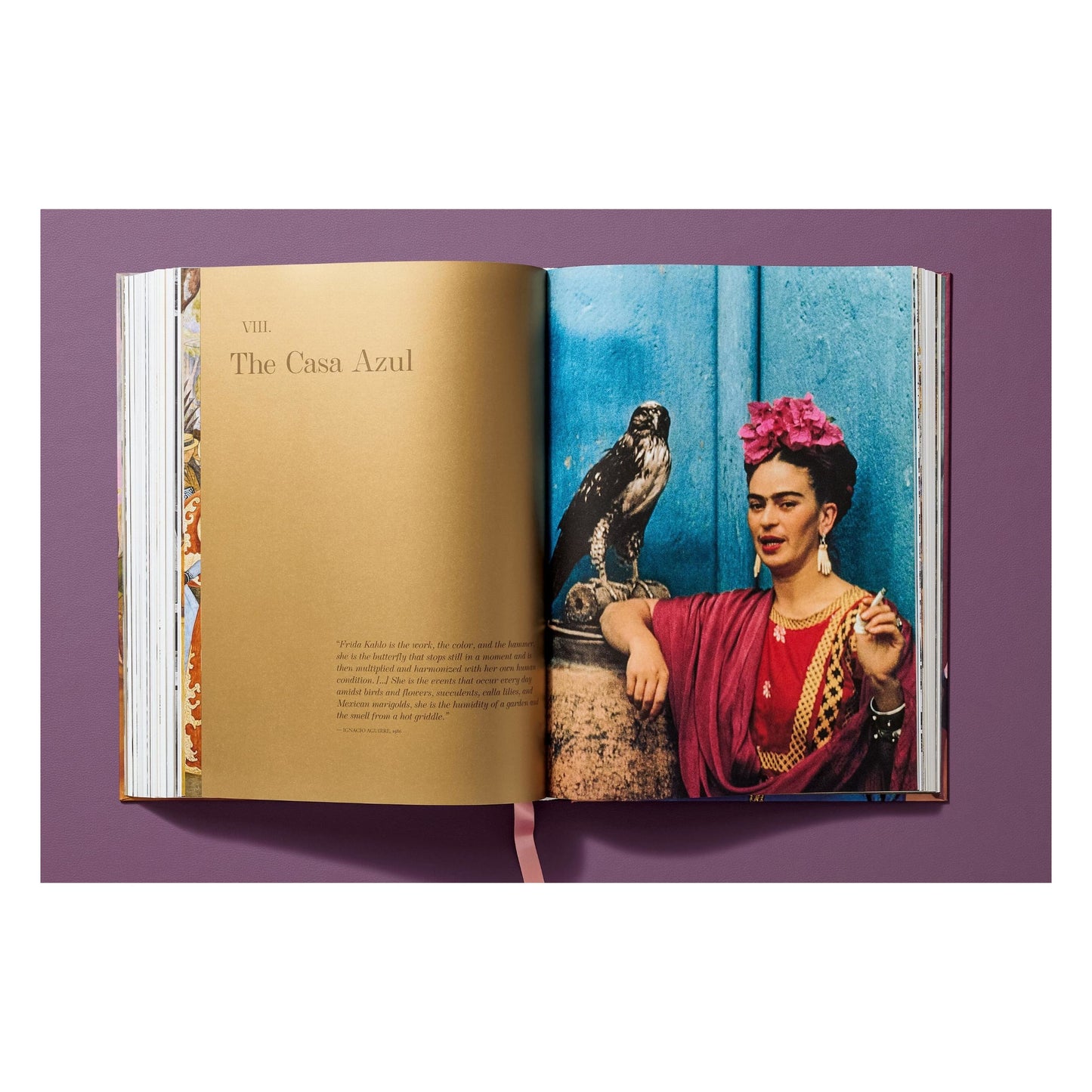 Frida Kahlo. Toute l'œuvre peinte (French)