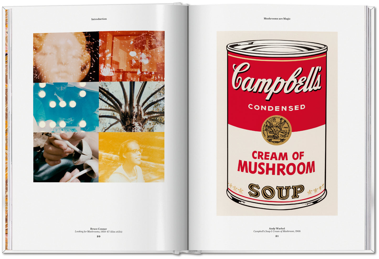 The Gourmand's Mushroom. A Collection of Stories & Recipes (English)