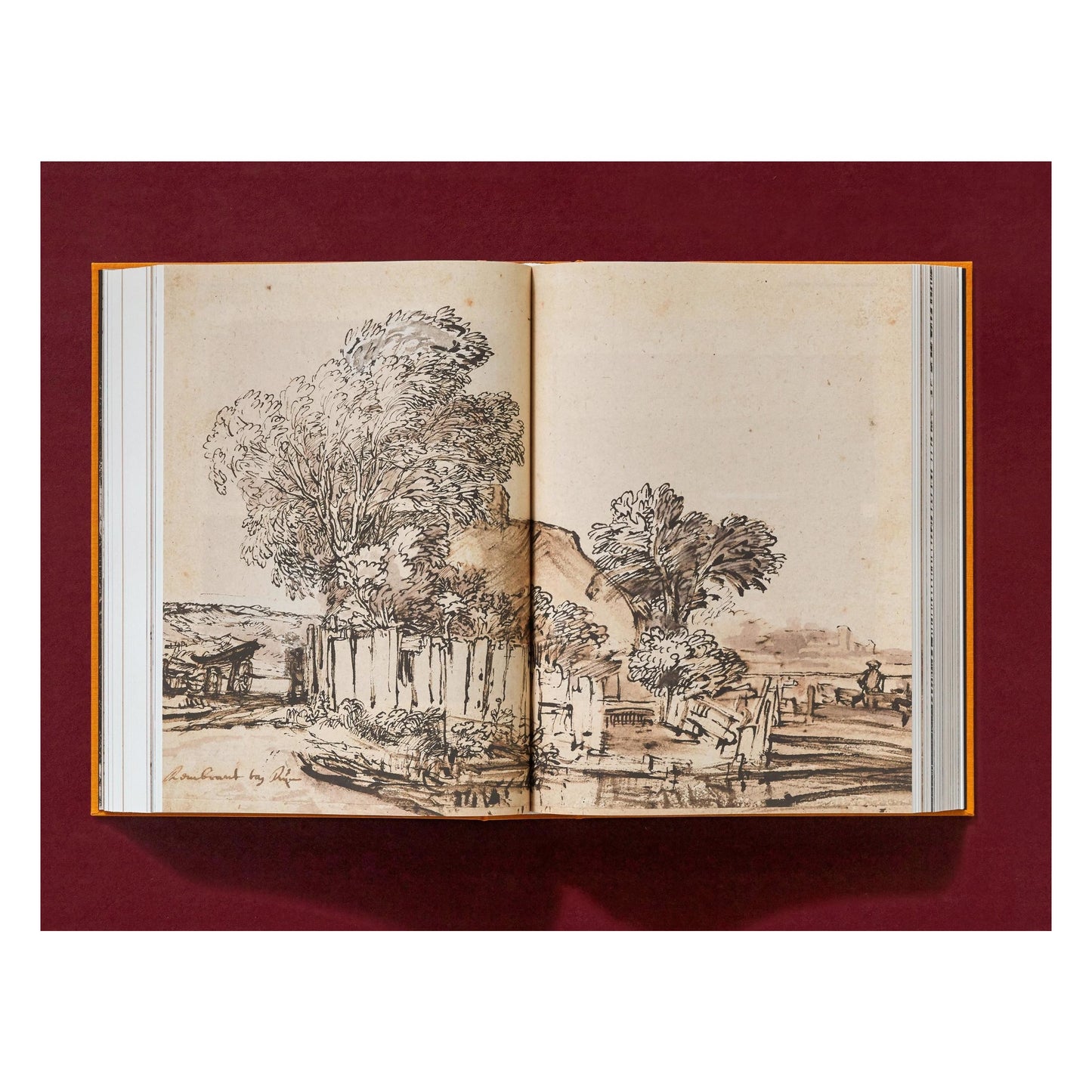 Rembrandt. The Complete Drawings and Etchings (English)
