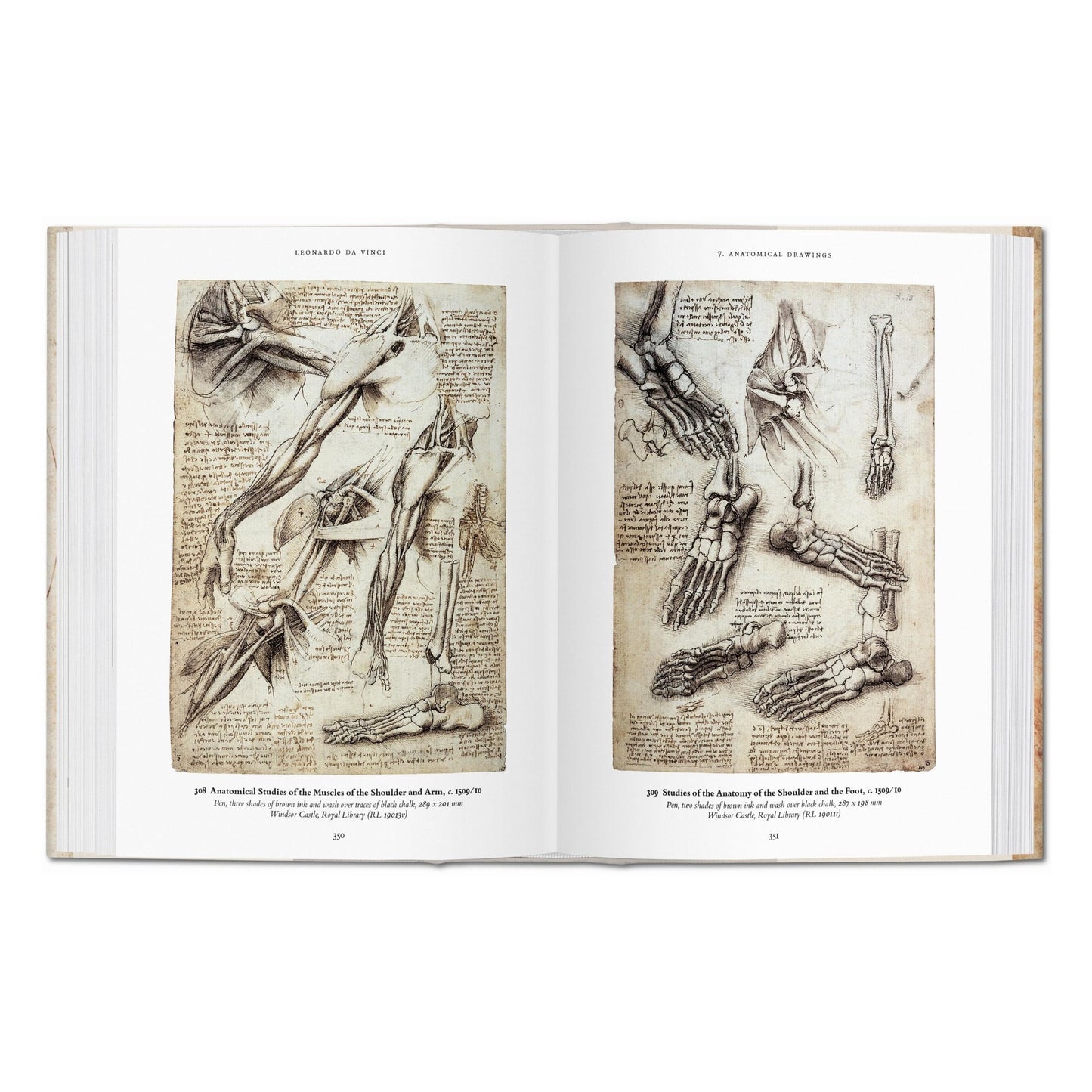 Léonard de Vinci. Tous les dessins (French)
