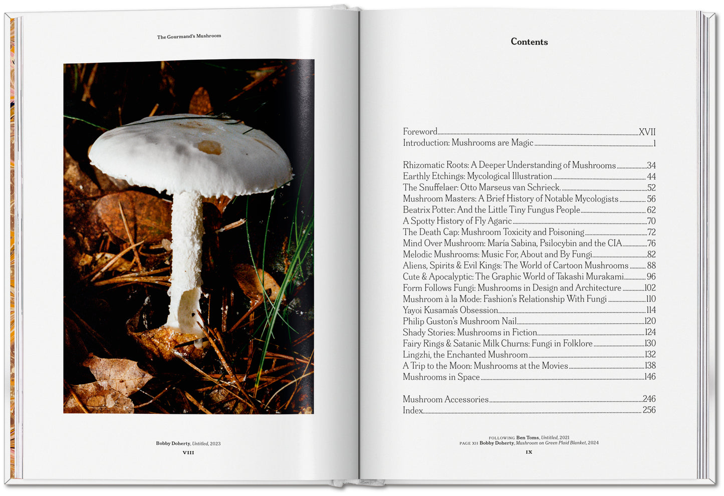 The Gourmand's Mushroom. A Collection of Stories & Recipes (English)