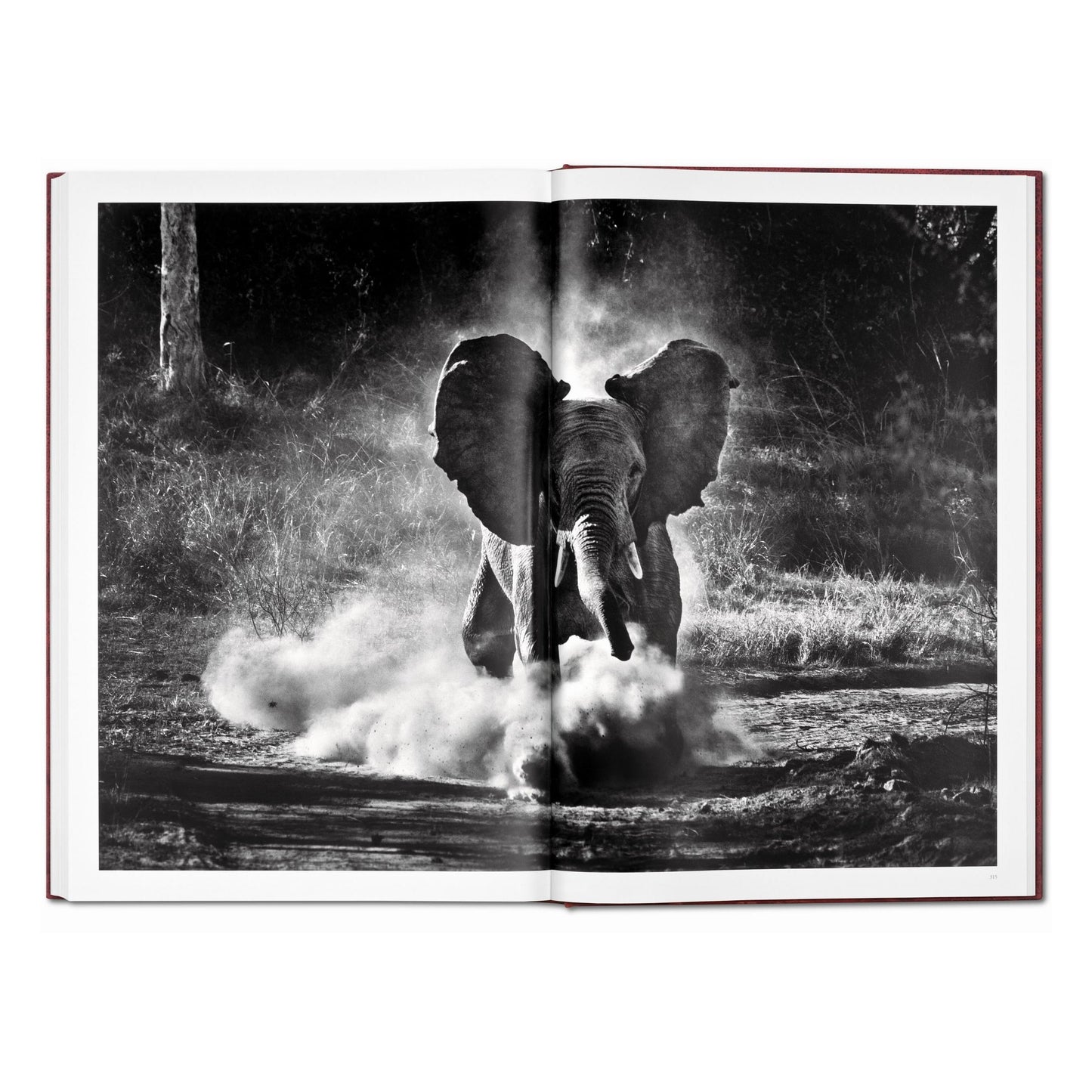 Sebastião Salgado. GENESIS, Art Edition No. 101–200 ‘North of the Ob River, Yamal Peninsula, Siberia, Russia’ (English) (AP)