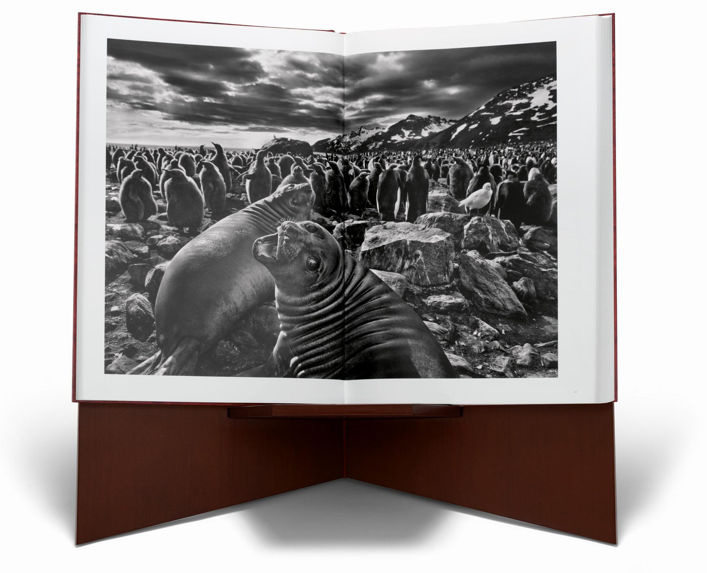 Sebastião Salgado. Genesis. Art Edition No. 1–100 ‘Two Mursi Women, Omo Valley, Ethiopia’ (English)