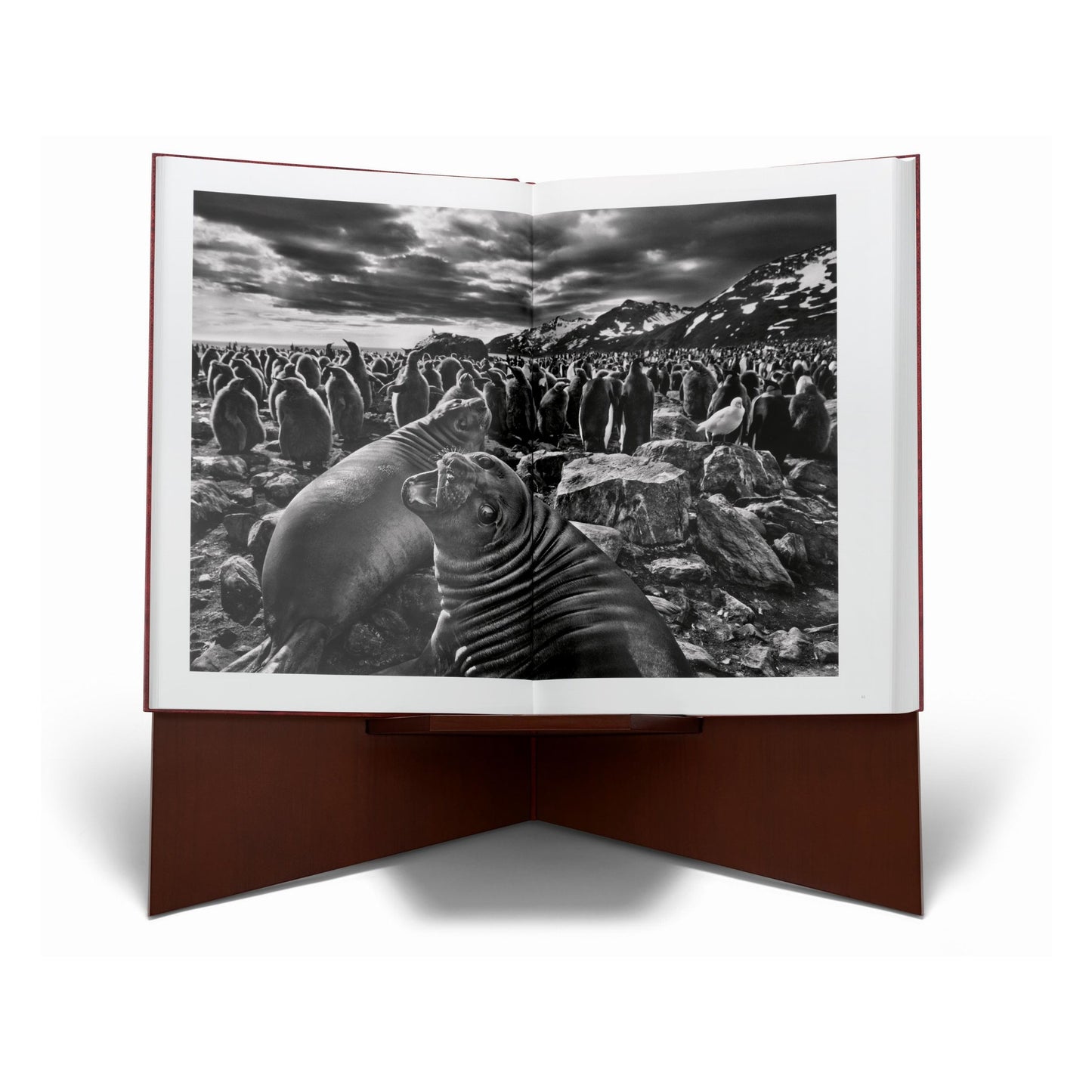 Sebastião Salgado. GENESIS, Art Edition No. 101–200 ‘North of the Ob River, Yamal Peninsula, Siberia, Russia’ (English) (AP)