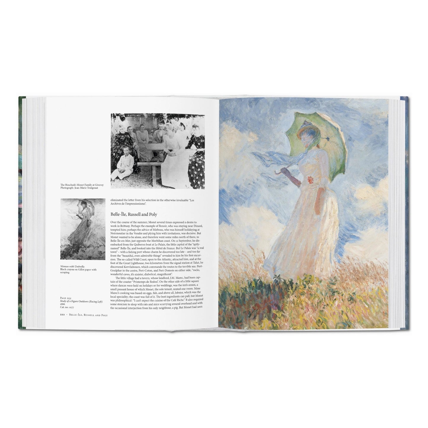 Monet. El triunfo del impresionismo (Spanish)