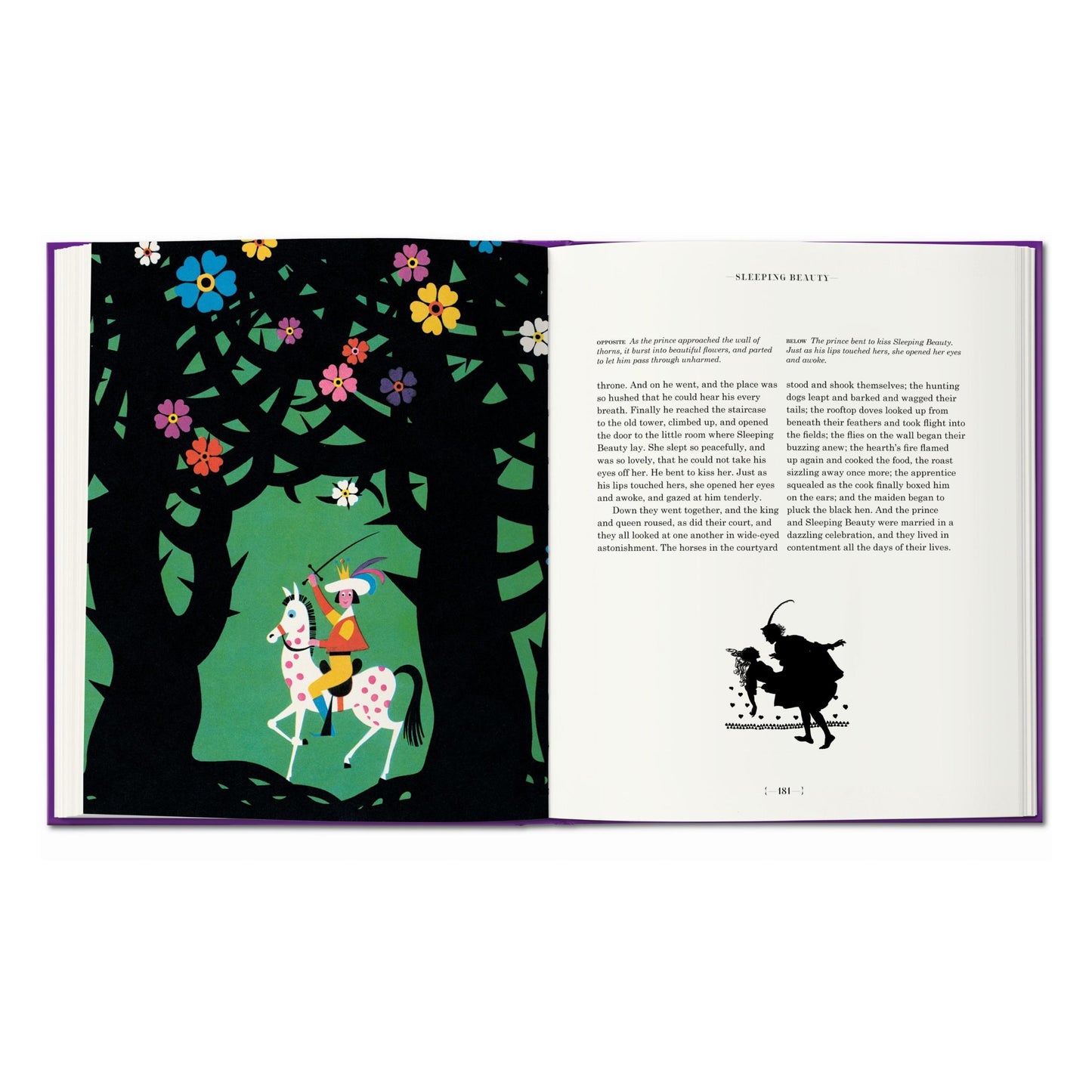 The Fairy Tales of the Brothers Grimm (English)
