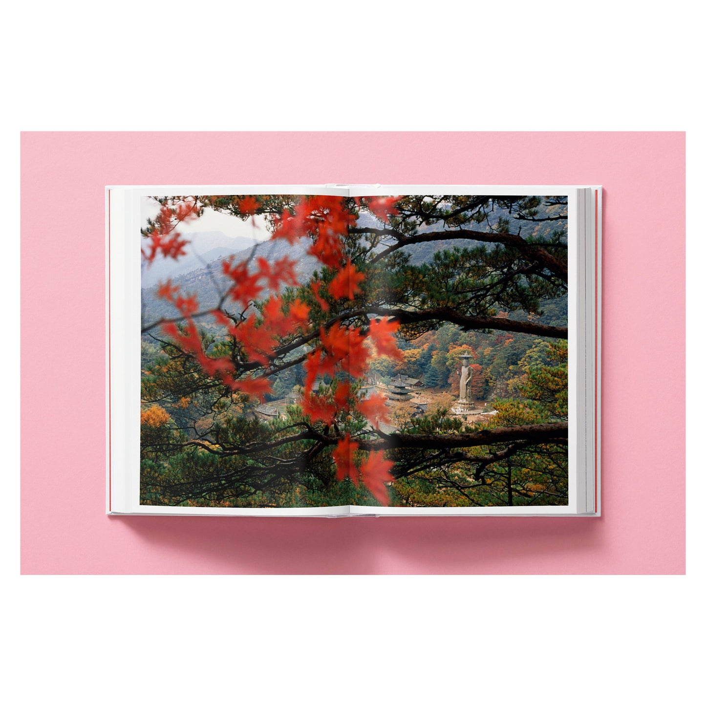 National Geographic. Around the World in 125 Years (English)
