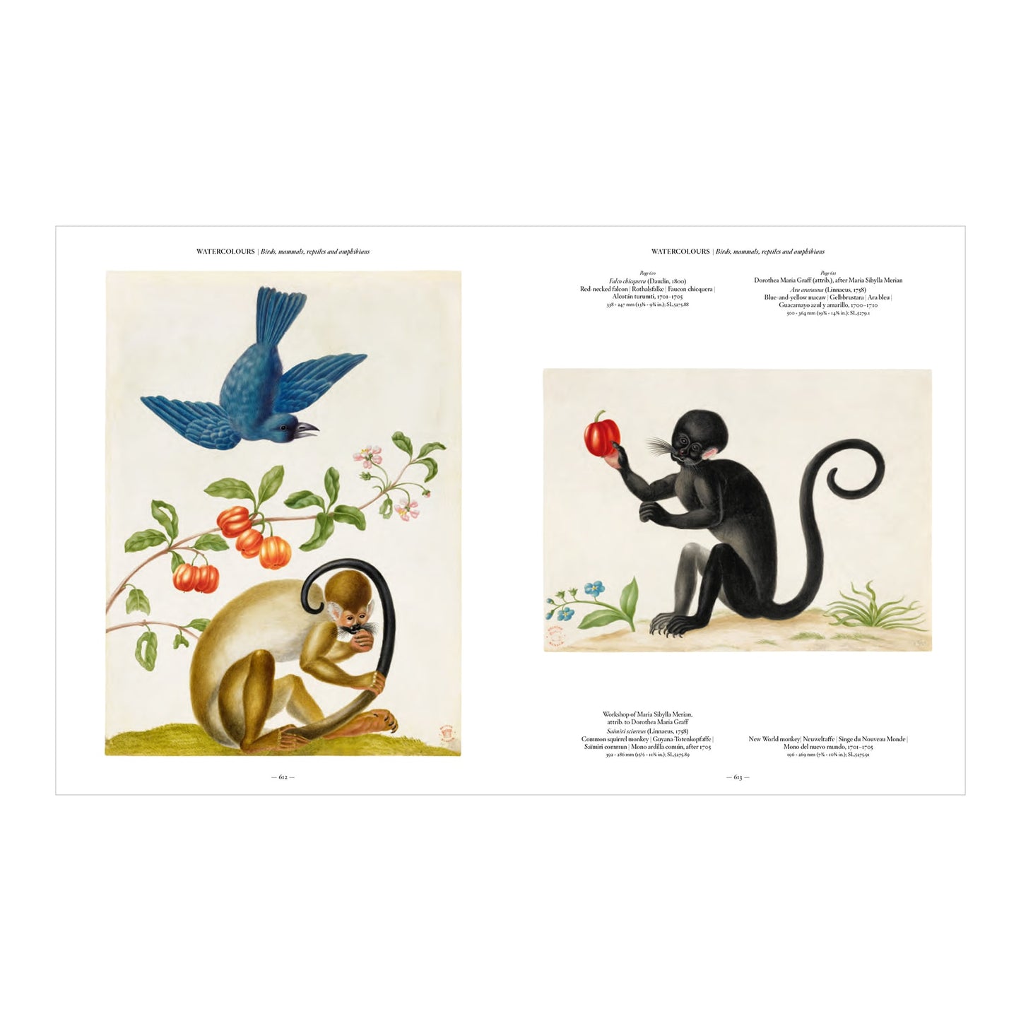 Merian (German, Spanish, French, English)