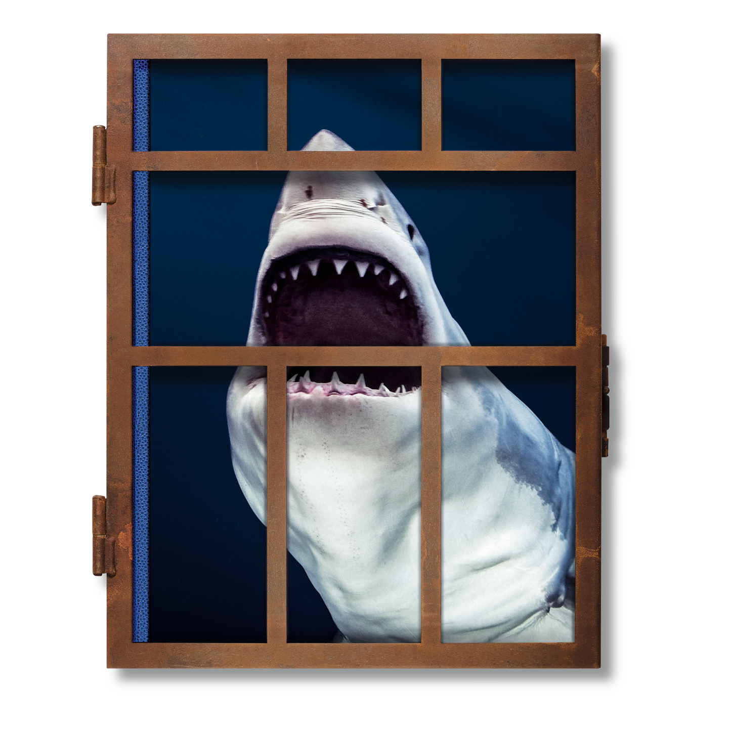 Michael Muller. Sharks (English) (AP)