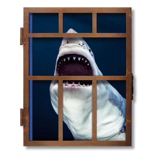 Michael Muller. Sharks (English)