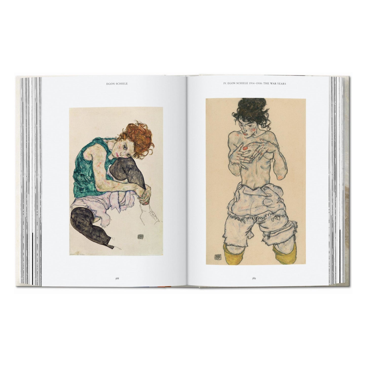 Egon Schiele. Las pinturas. 40th Ed. (Spanish)