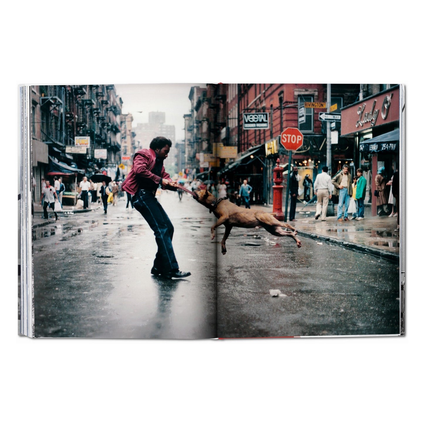 New York. Portrait of a City (German, French, English) (SA)