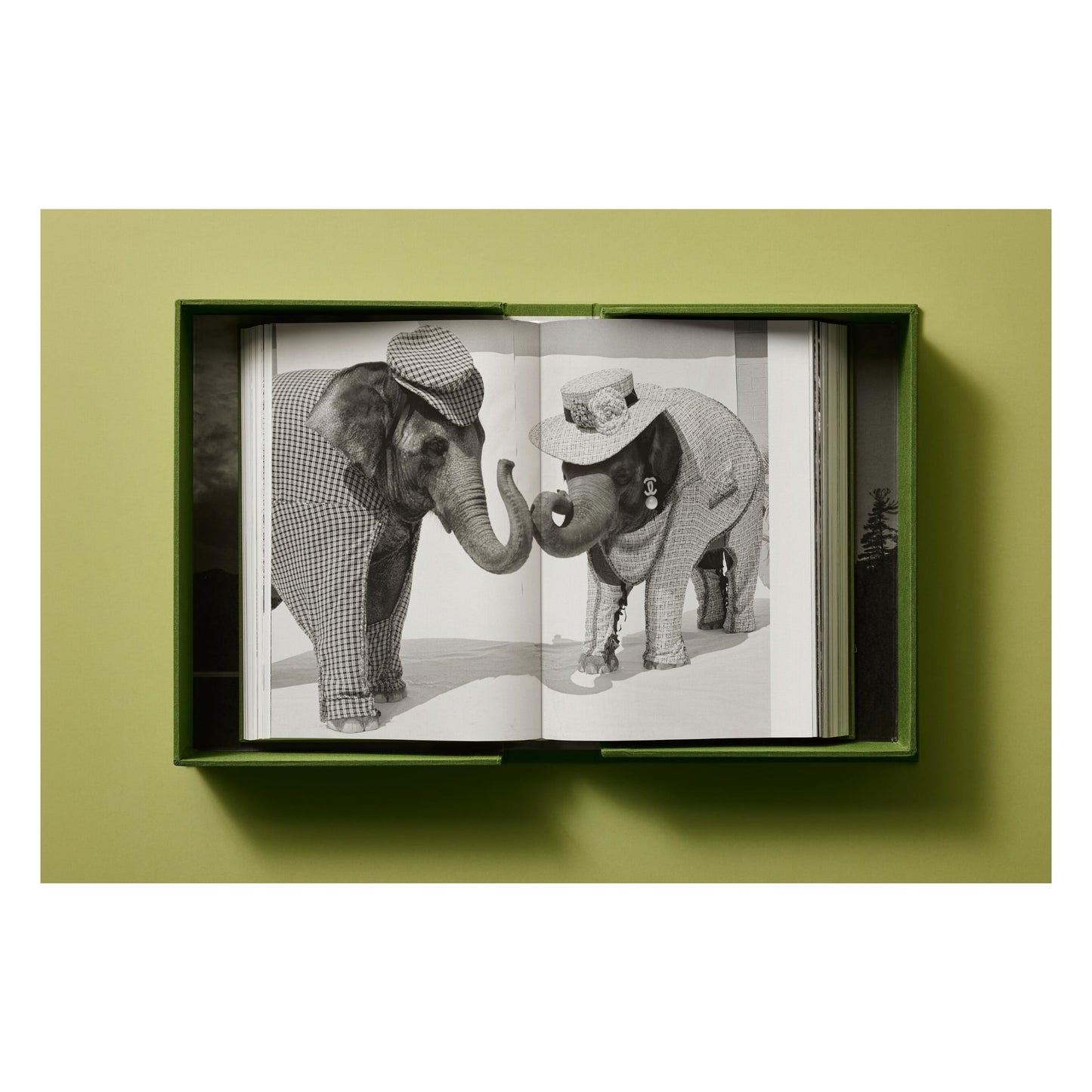 Bruce Weber. My Education. Art Edition No. 101–200, ‘Michael St. Pierre with Bonkers, Thousand Oaks, California’, 2004 (German, French, English)
