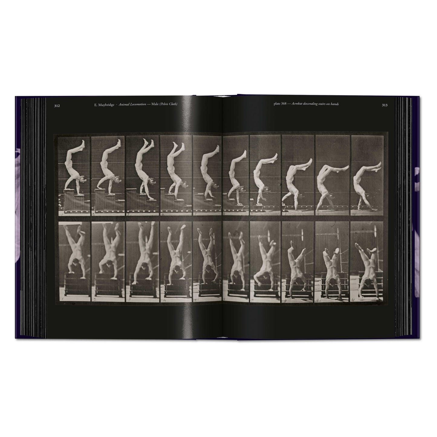 Muybridge. The Human and Animal Locomotion Photographs. 45th Ed. (German, French, English)