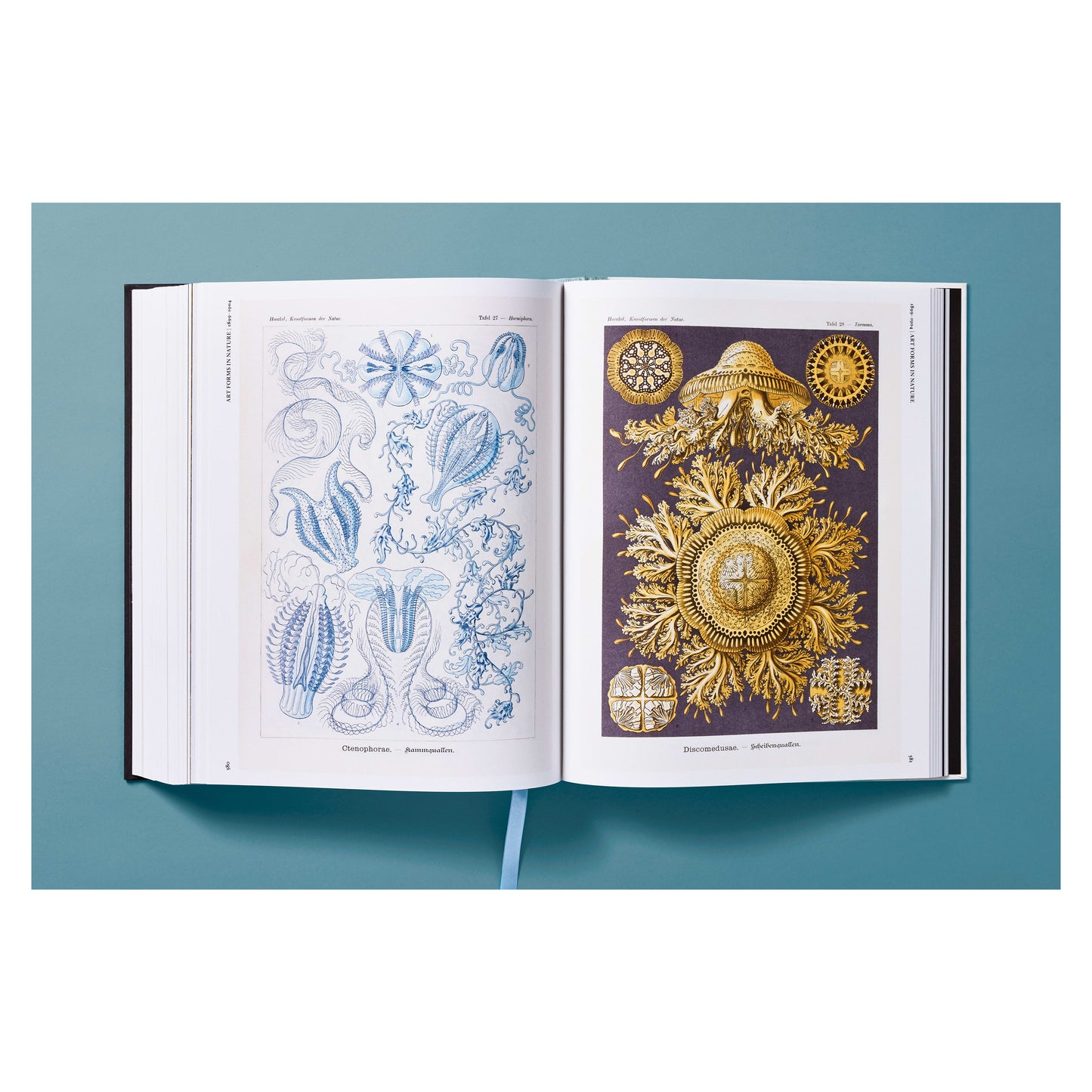 The Art and Science of Ernst Haeckel (German, French, English)