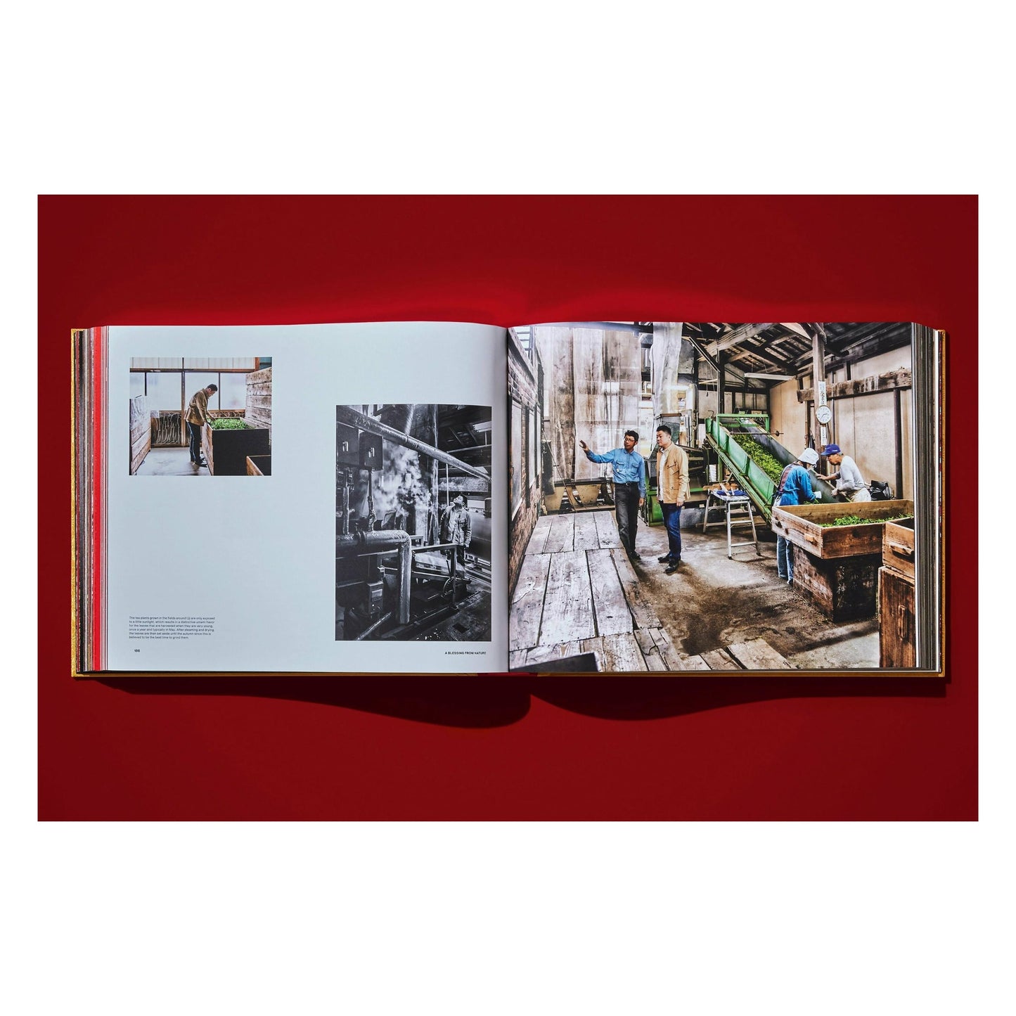 Yoshihiro Narisawa. Satoyama Cuisine (English) (AP)