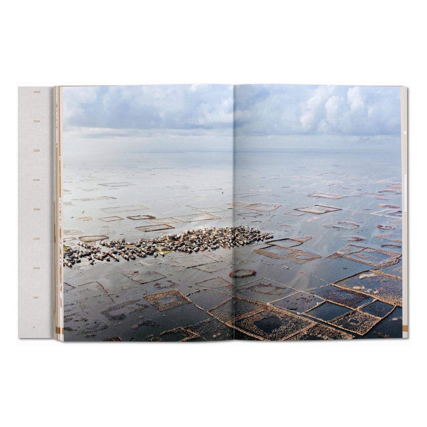 Julia Watson. Lo—TEK. Design by Radical Indigenism (English)