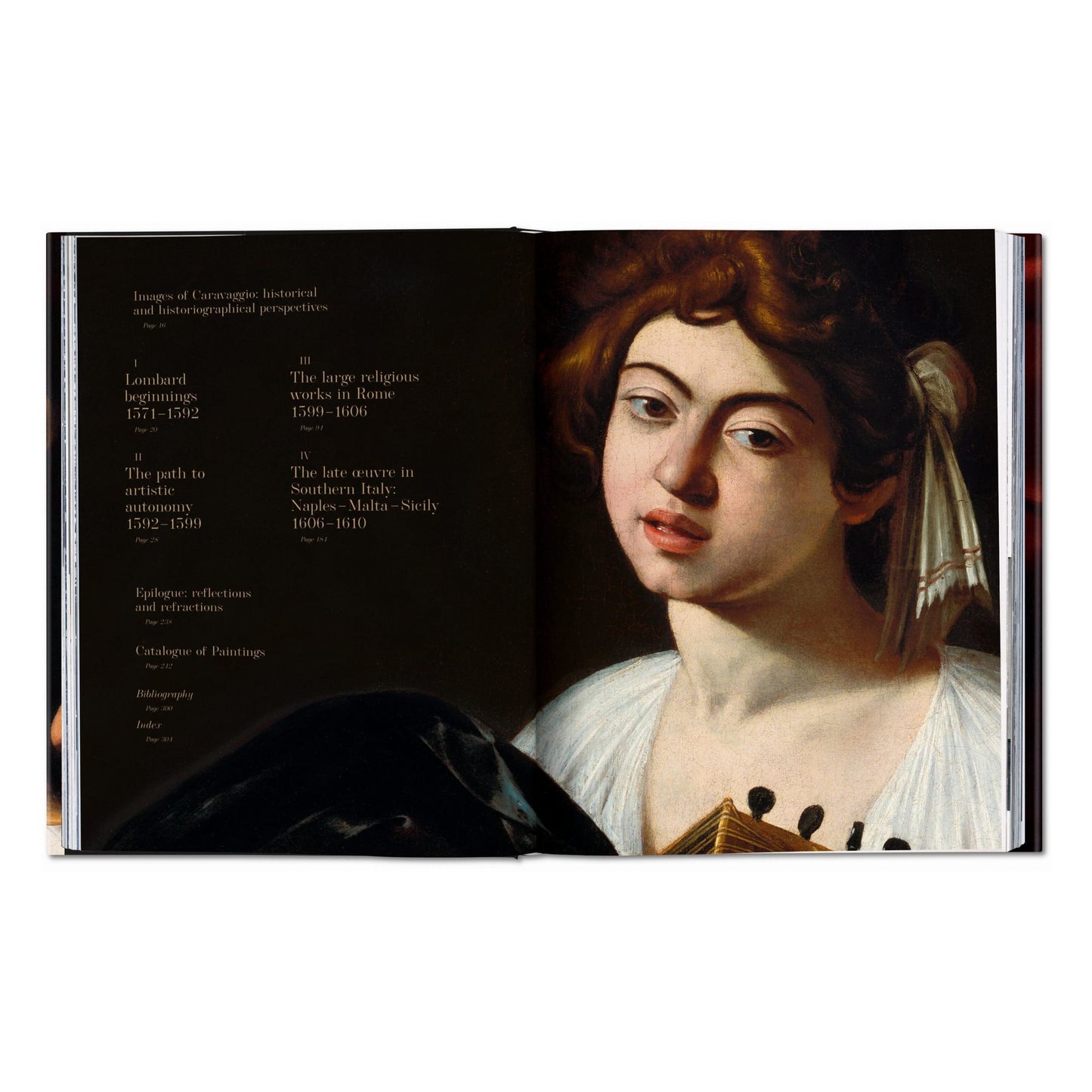 Caravage. L’œuvre complet (French)
