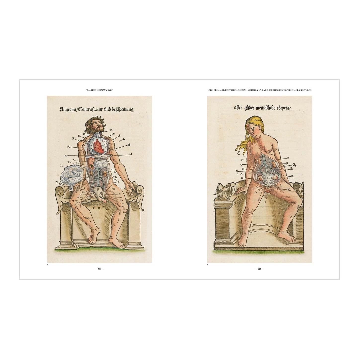 The Book of the Human Body (German, Spanish, French, English)
