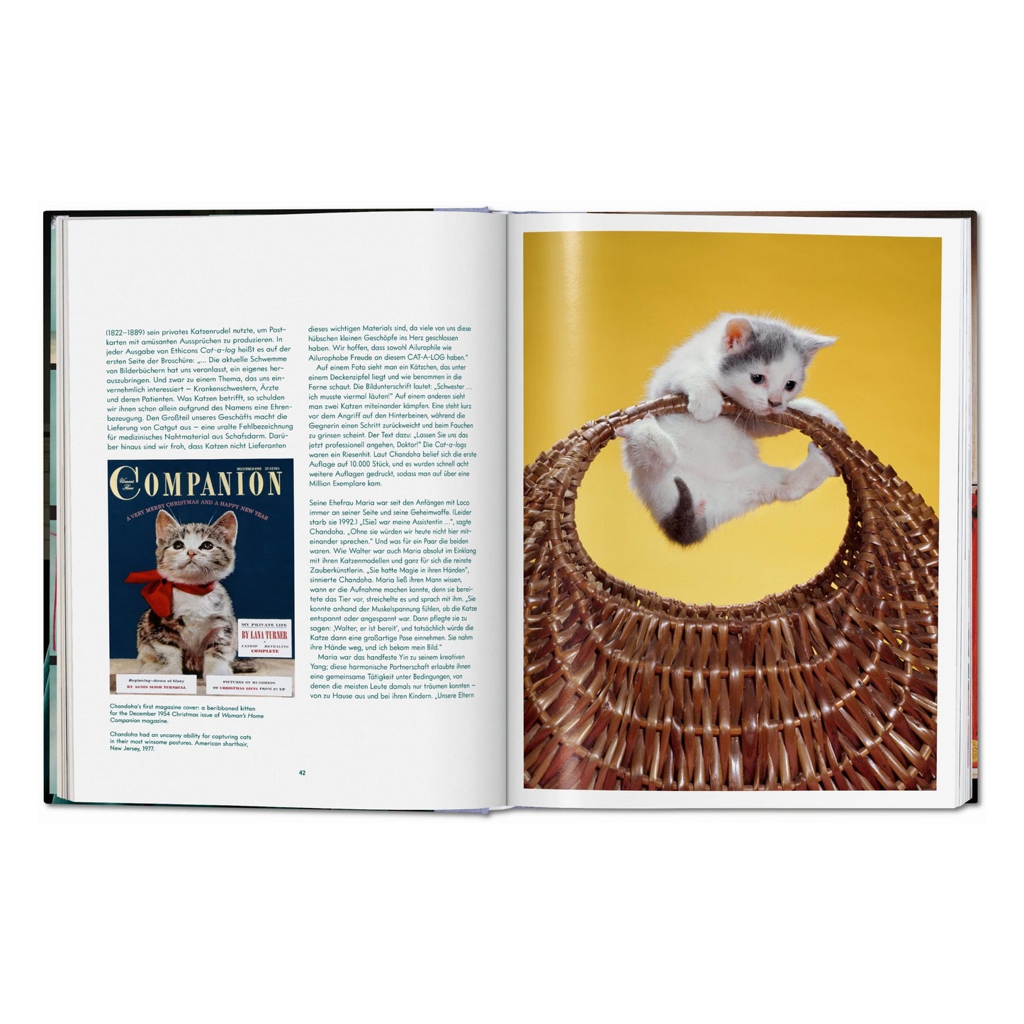 Walter Chandoha. Cats. Photographs 1942–2018 (German, French, English)
