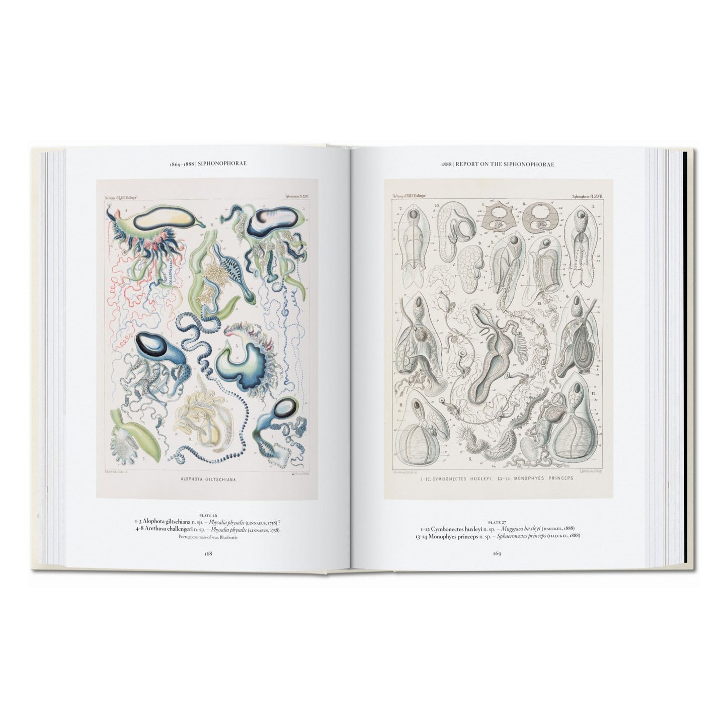 L’art et la science de Ernst Haeckel. 40th Ed. (French)