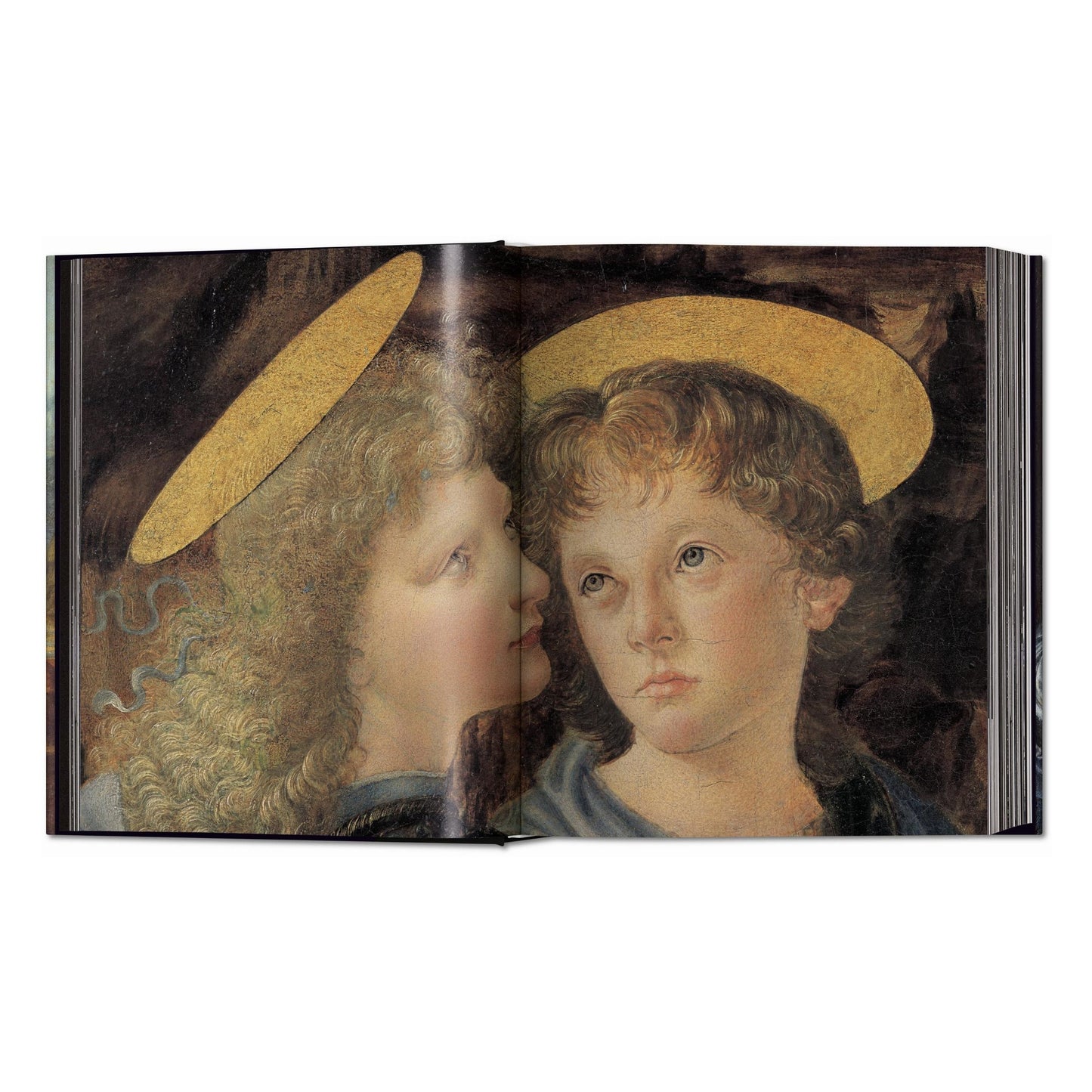 Léonard de Vinci. Tout l'œuvre peint et graphique (French)