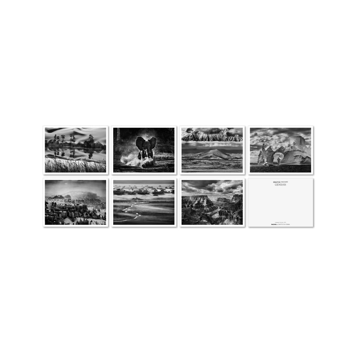 Sebastião Salgado. Genesis. Postcard Set (German, Spanish, French, English)