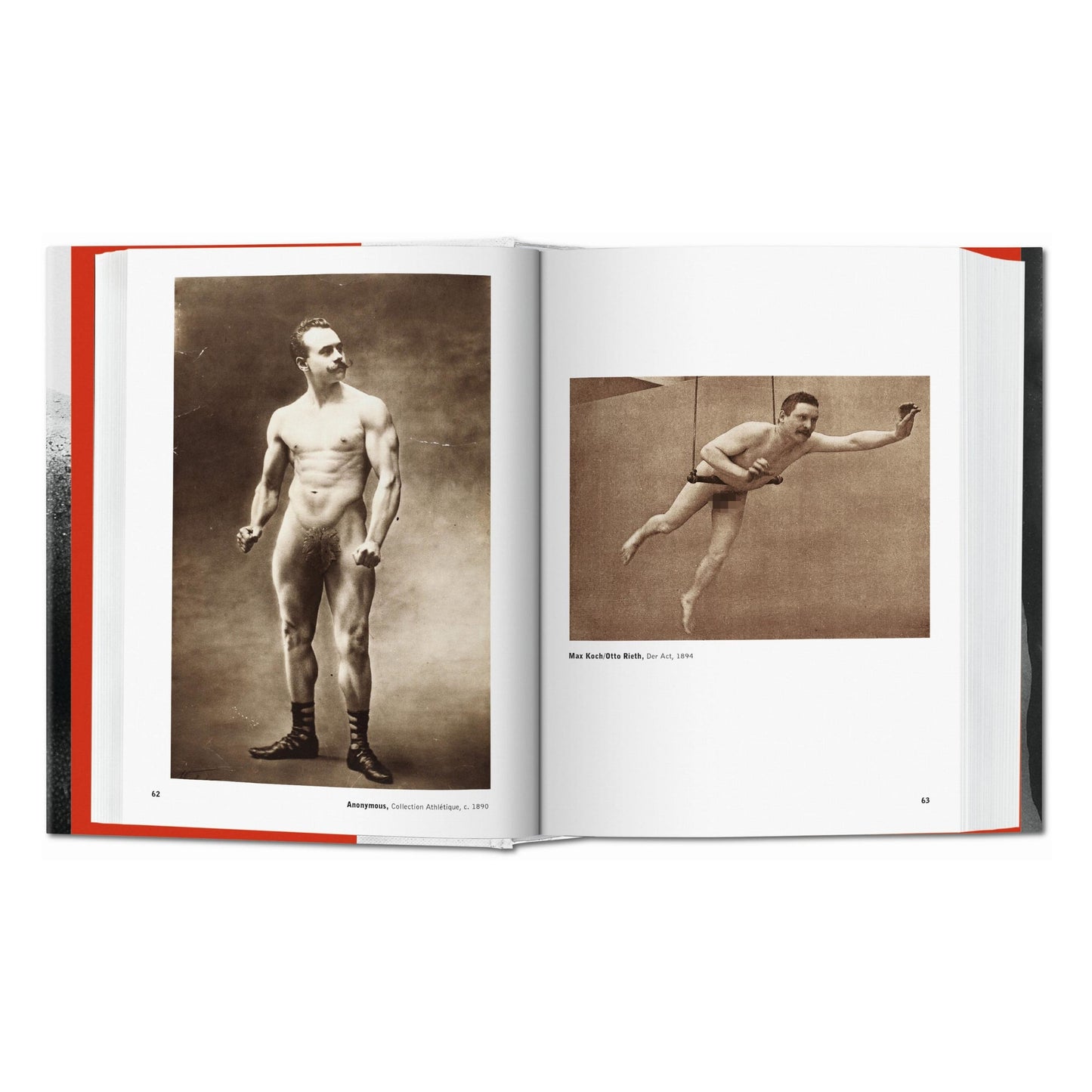 The Male Nude (Spanish, Italian, Portuguese)