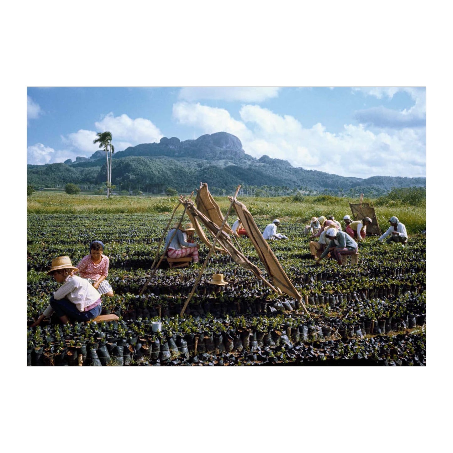 Lee Lockwood. Castro's Cuba. 1959–1969. 45th Ed. (English)