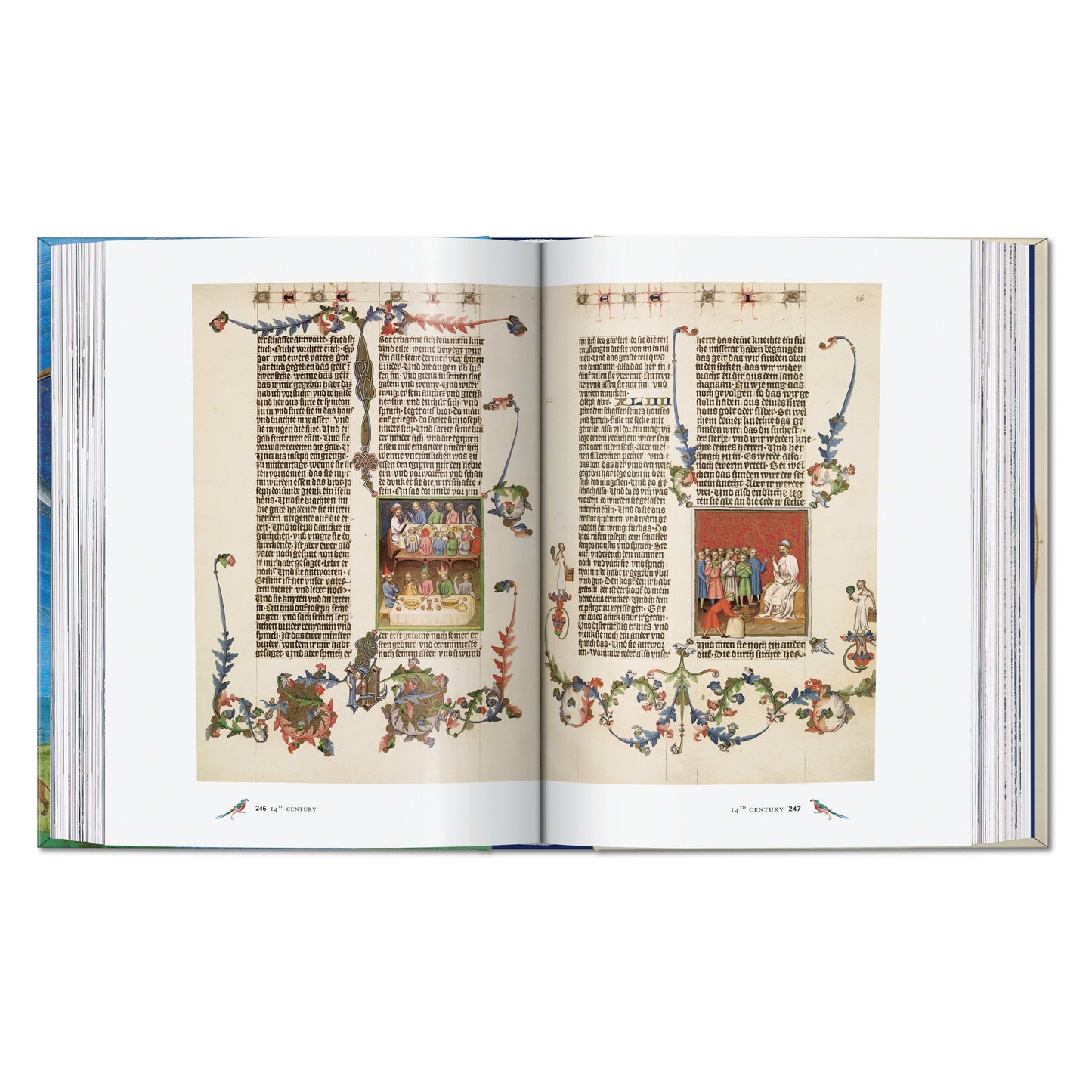 Codices illustres. Les plus beaux manuscrits enluminés du monde 400 à 1600 (French)