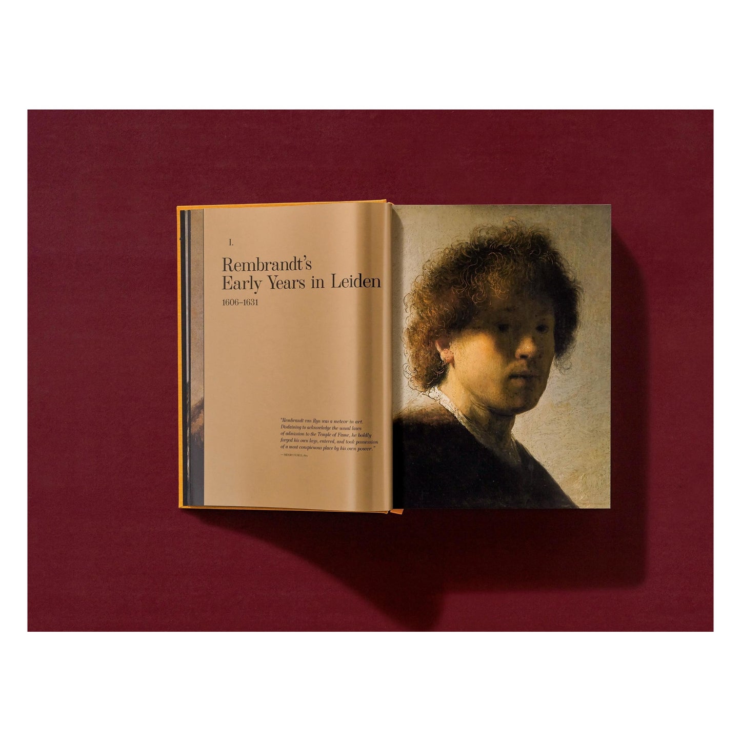 Rembrandt. The Complete Paintings (English)