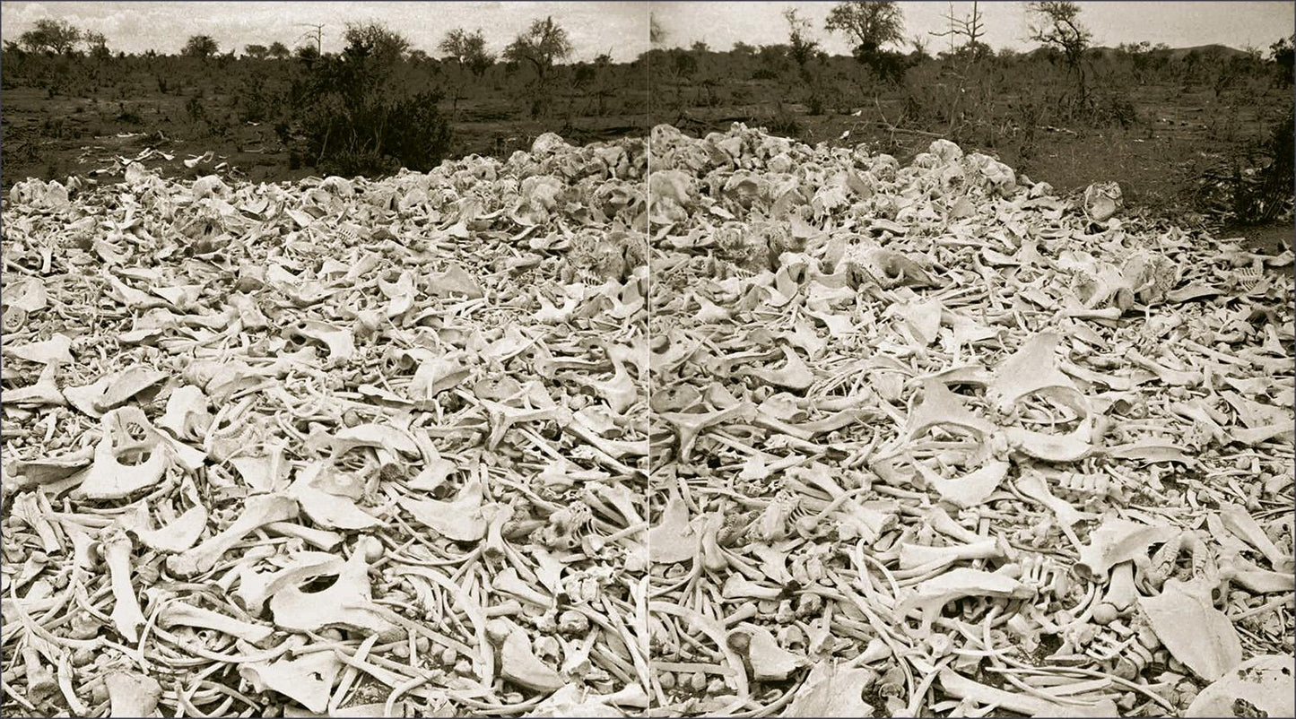 Peter Beard. The End of the Game (English)