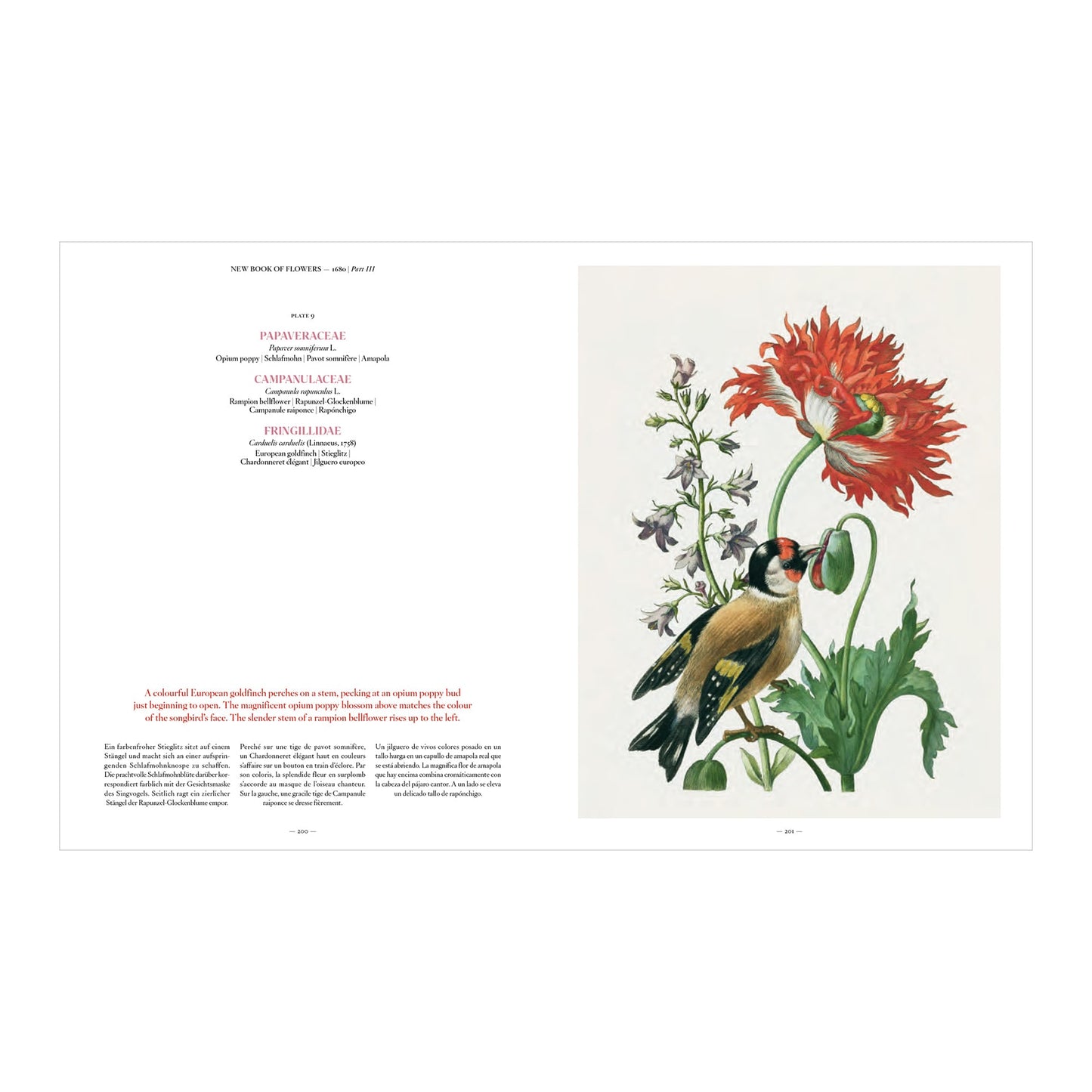 Merian (German, Spanish, French, English)