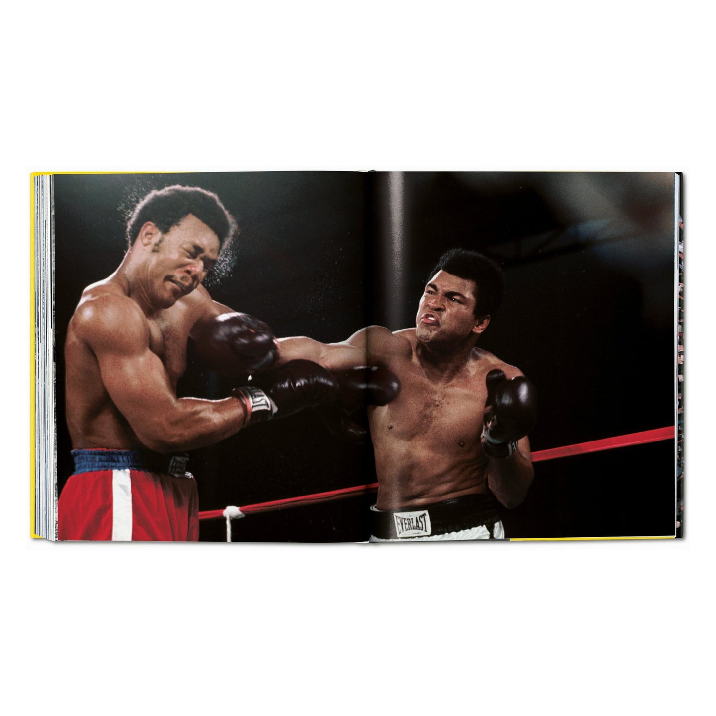 Norman Mailer. Neil Leifer. Howard L. Bingham. The Fight (English)