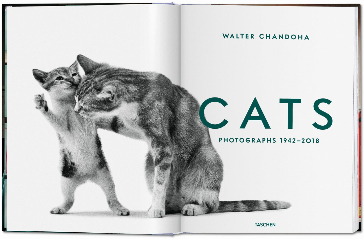 Walter Chandoha. Cats. Photographs 1942–2018 (German, French, English)