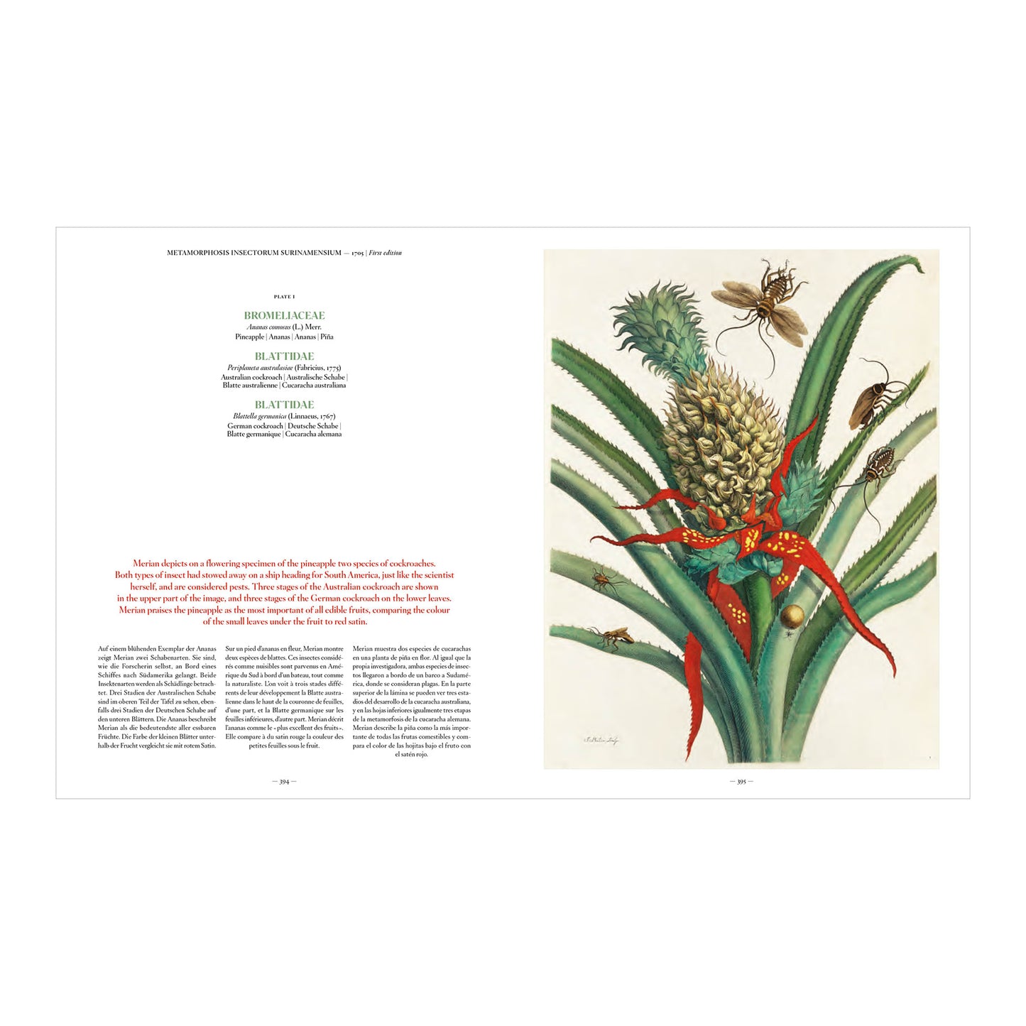 Merian (German, Spanish, French, English)