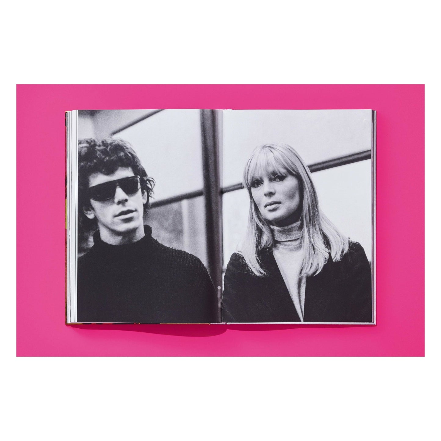 Steve Schapiro. Andy Warhol and Friends (English) (SA)